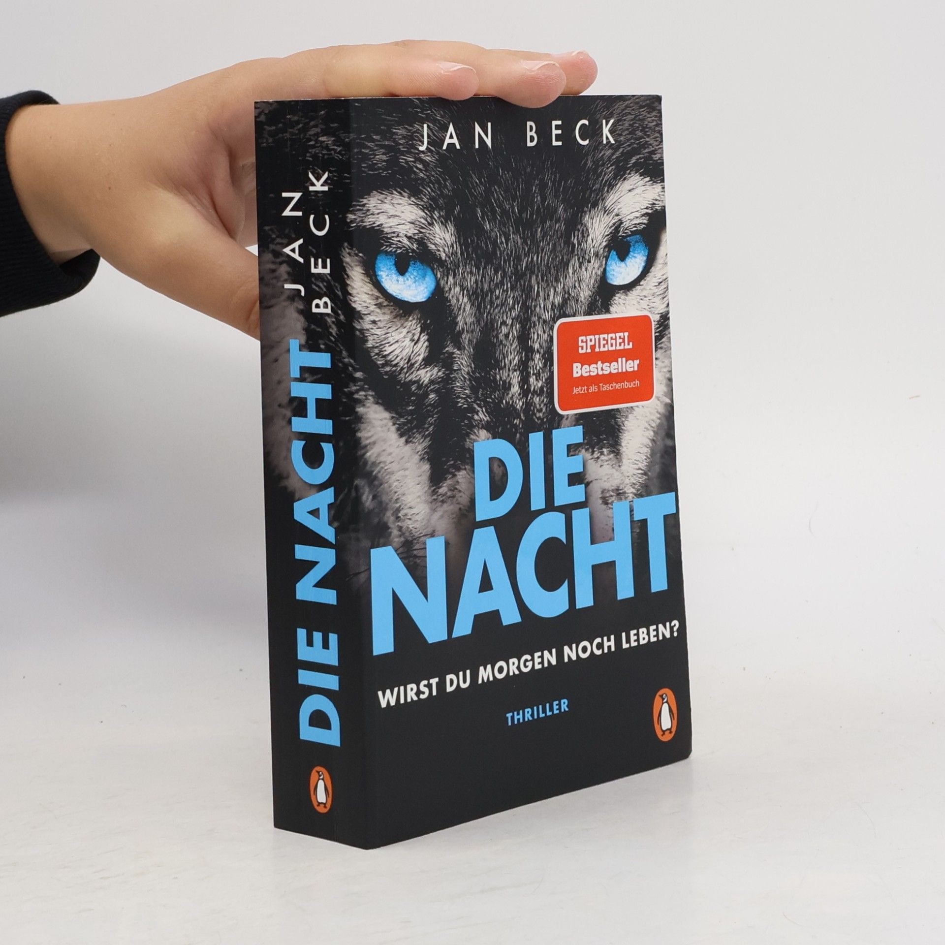 Jan Beck Die Nacht. Wirst du morgen noch leben?