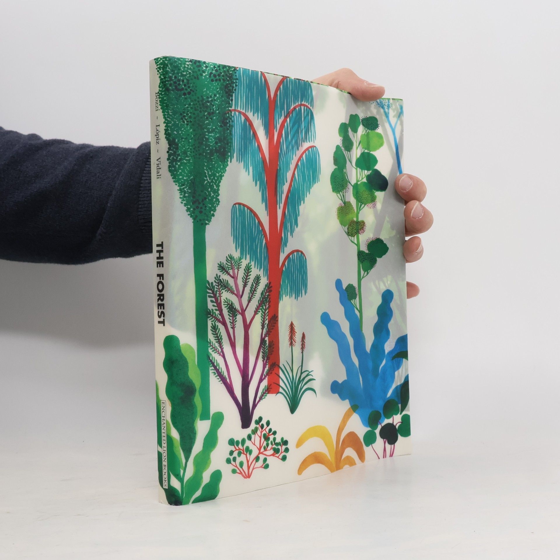 Debbie Bibo The Forest