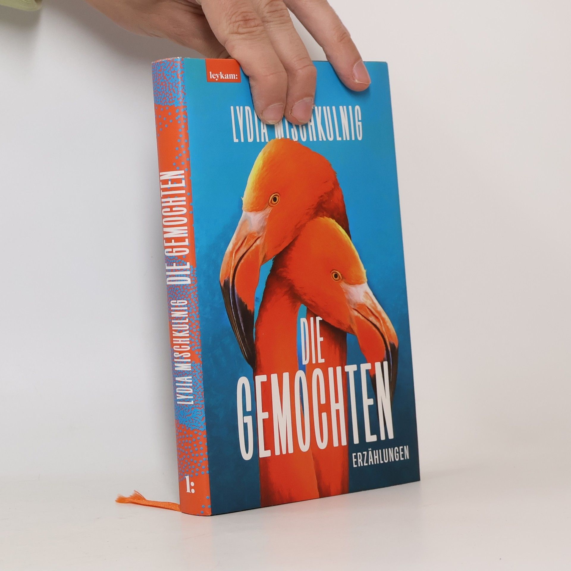 Lydia Mischkulnig Die Gemochten
