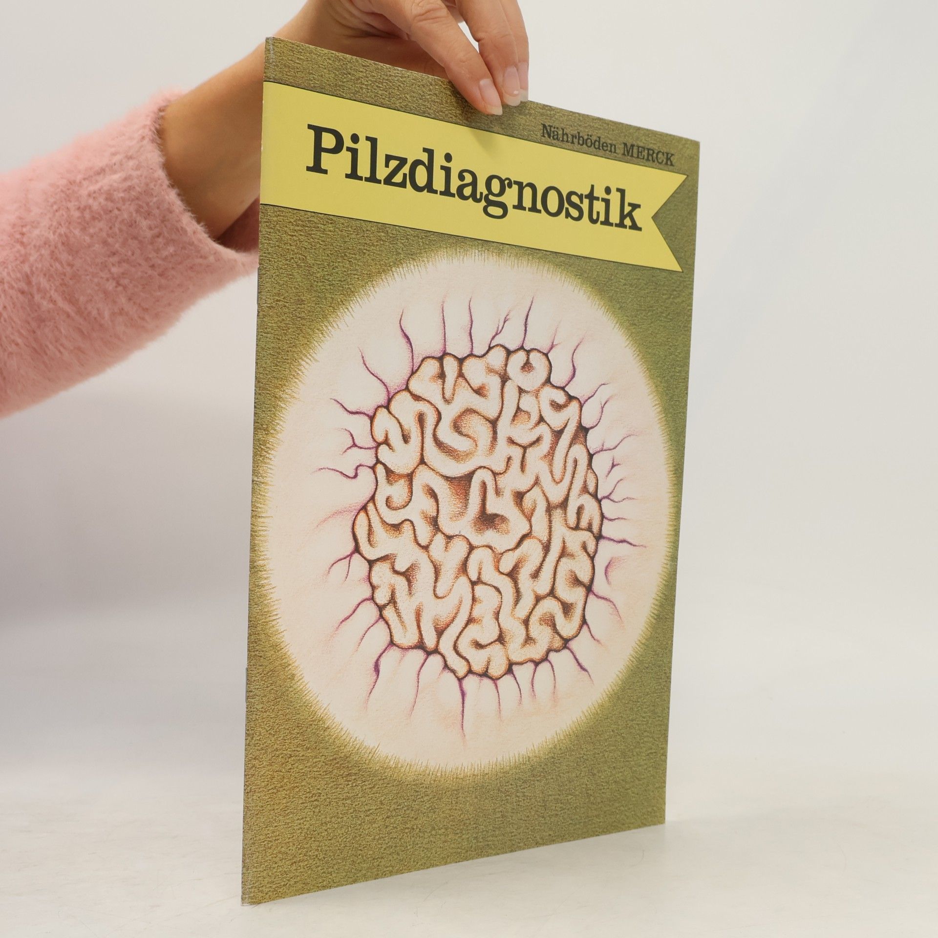 Autorenkollektiv Pilzdiagnostik