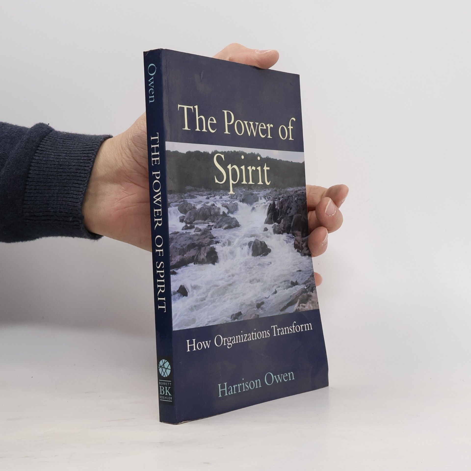Harrison Owen The Power of Spirit