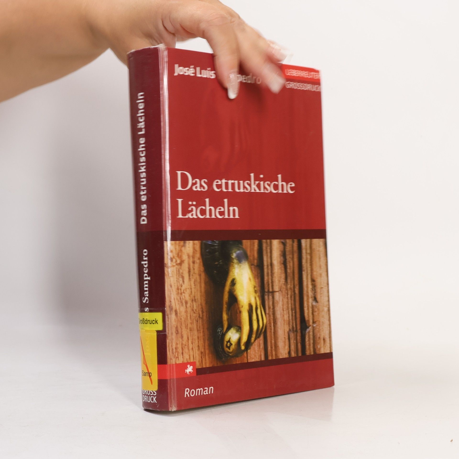 José Luis Sampedro Das etruskische Lächeln - Großdruck