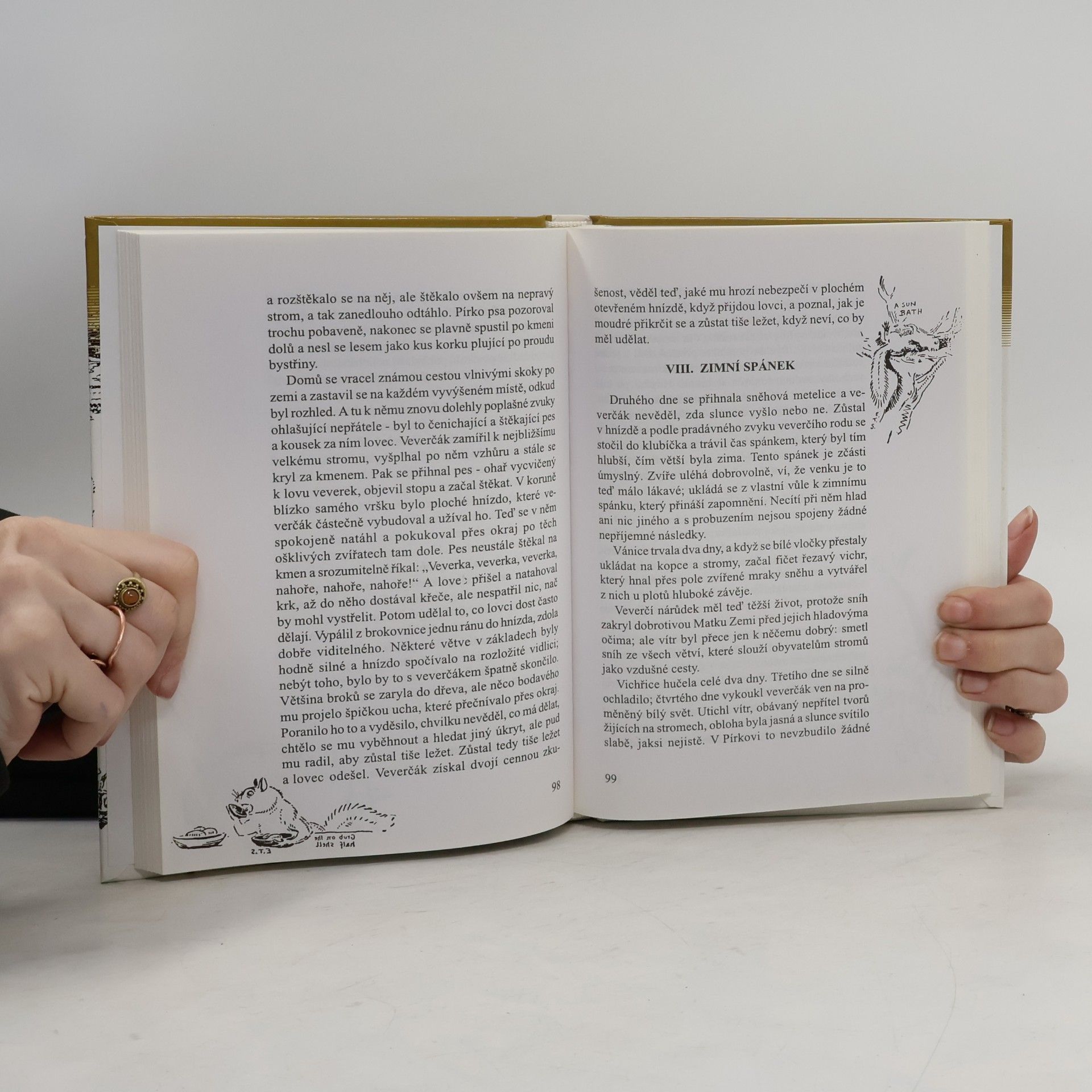 Ernest Thompson Seton Blesk. Povídky z divočiny