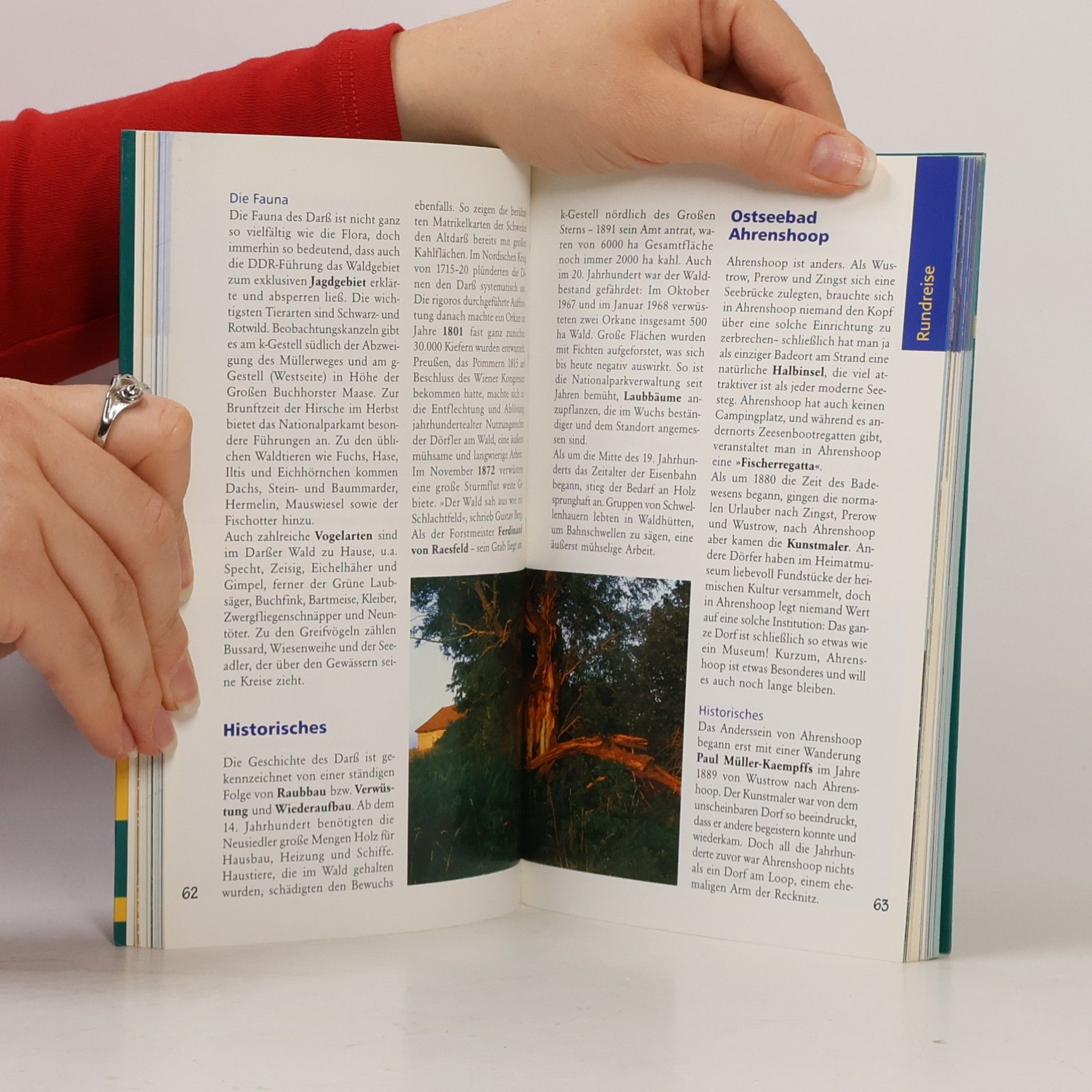 Henning Sietz Fischland - Darß - Zingst