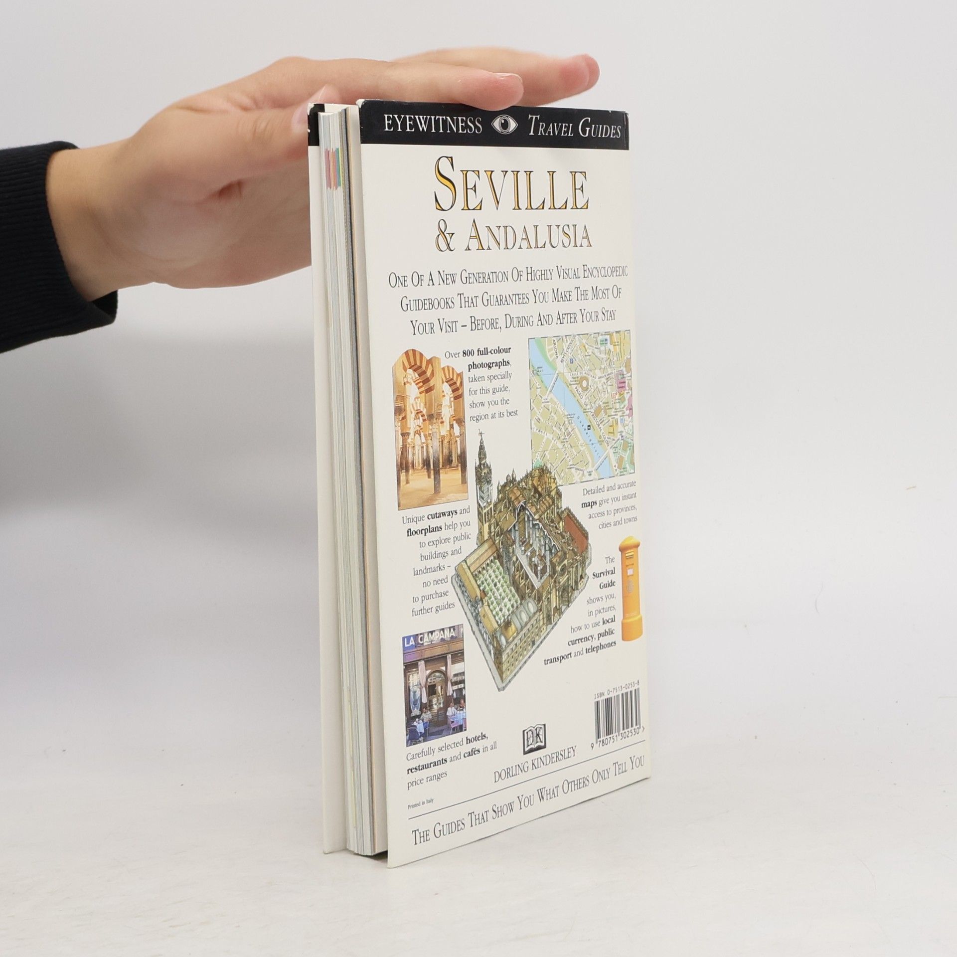 David Baird Eyewitness Travel Guides: Seville & Andalusia