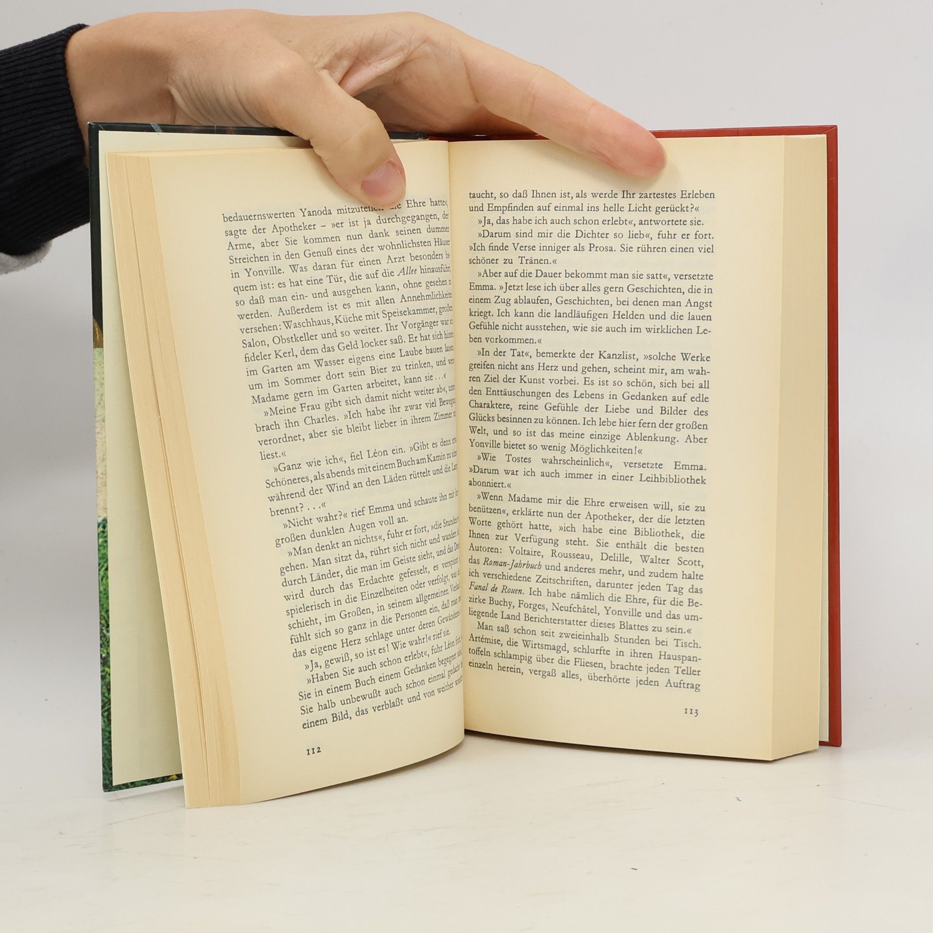 Gustave Flaubert Madame Bovary