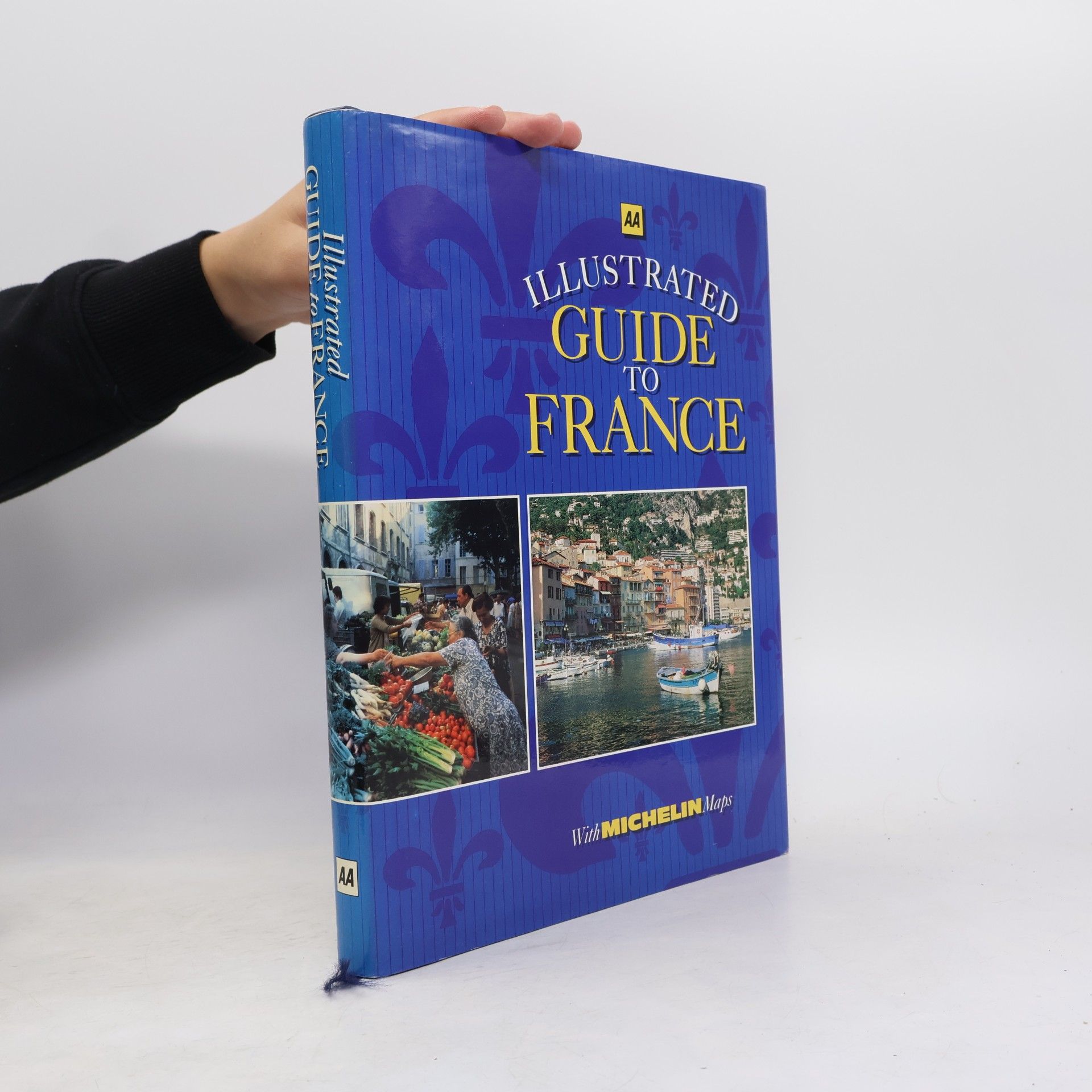 Collectif d'auteurs Illustrated Guide to France