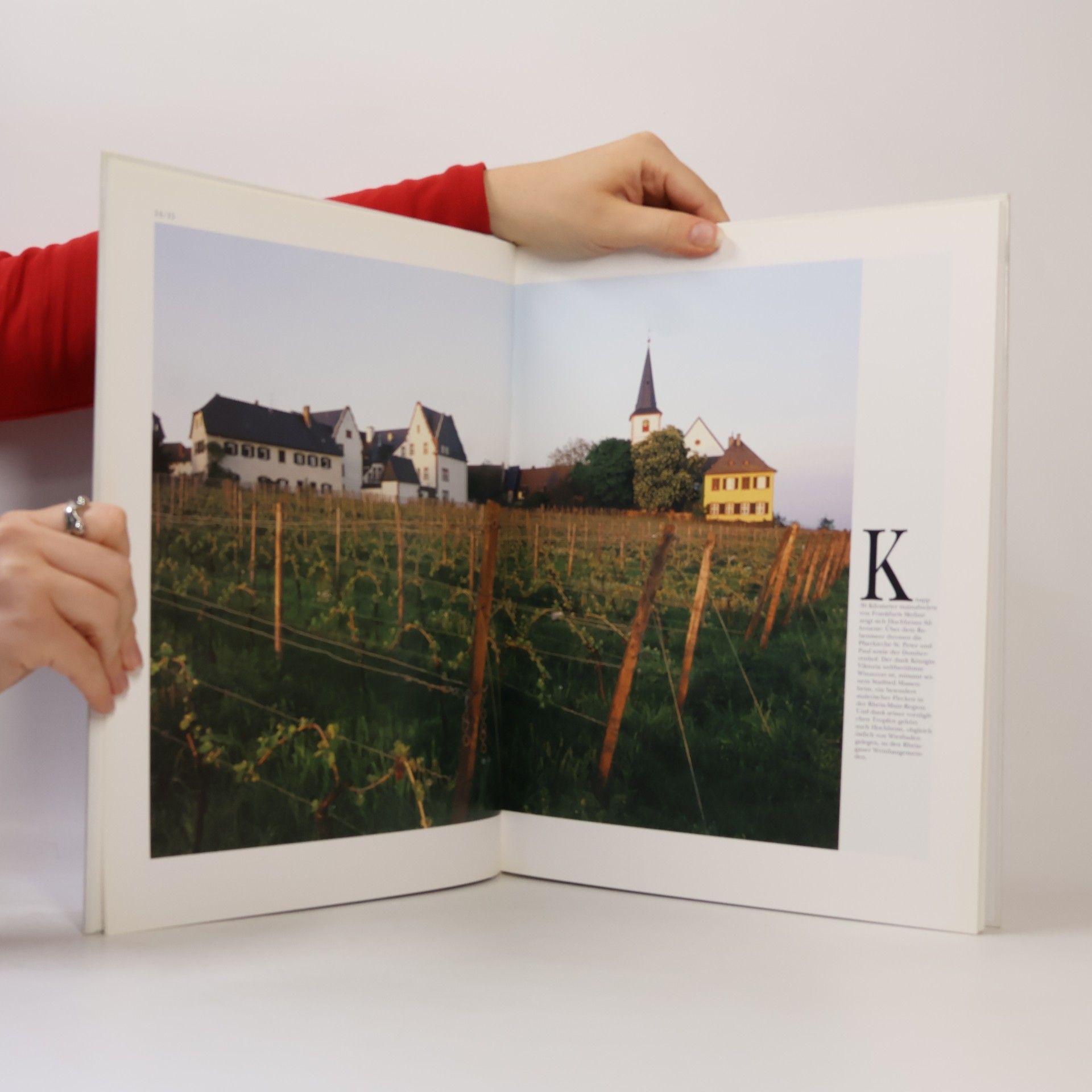 Knut Mueller Wiesbaden und Rheingau