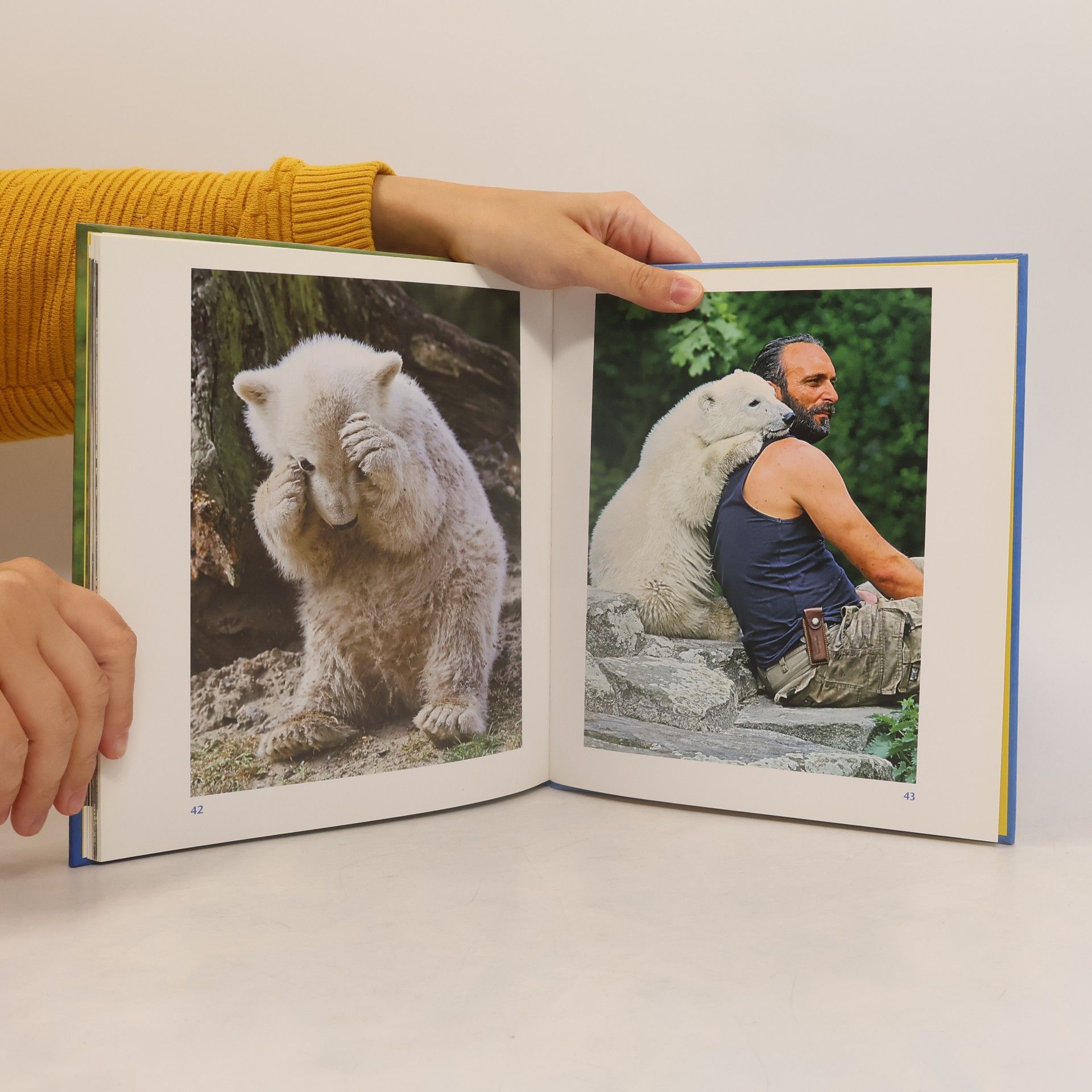 Juliana Hatkoff Knut: der kleine Eisbärenjunge