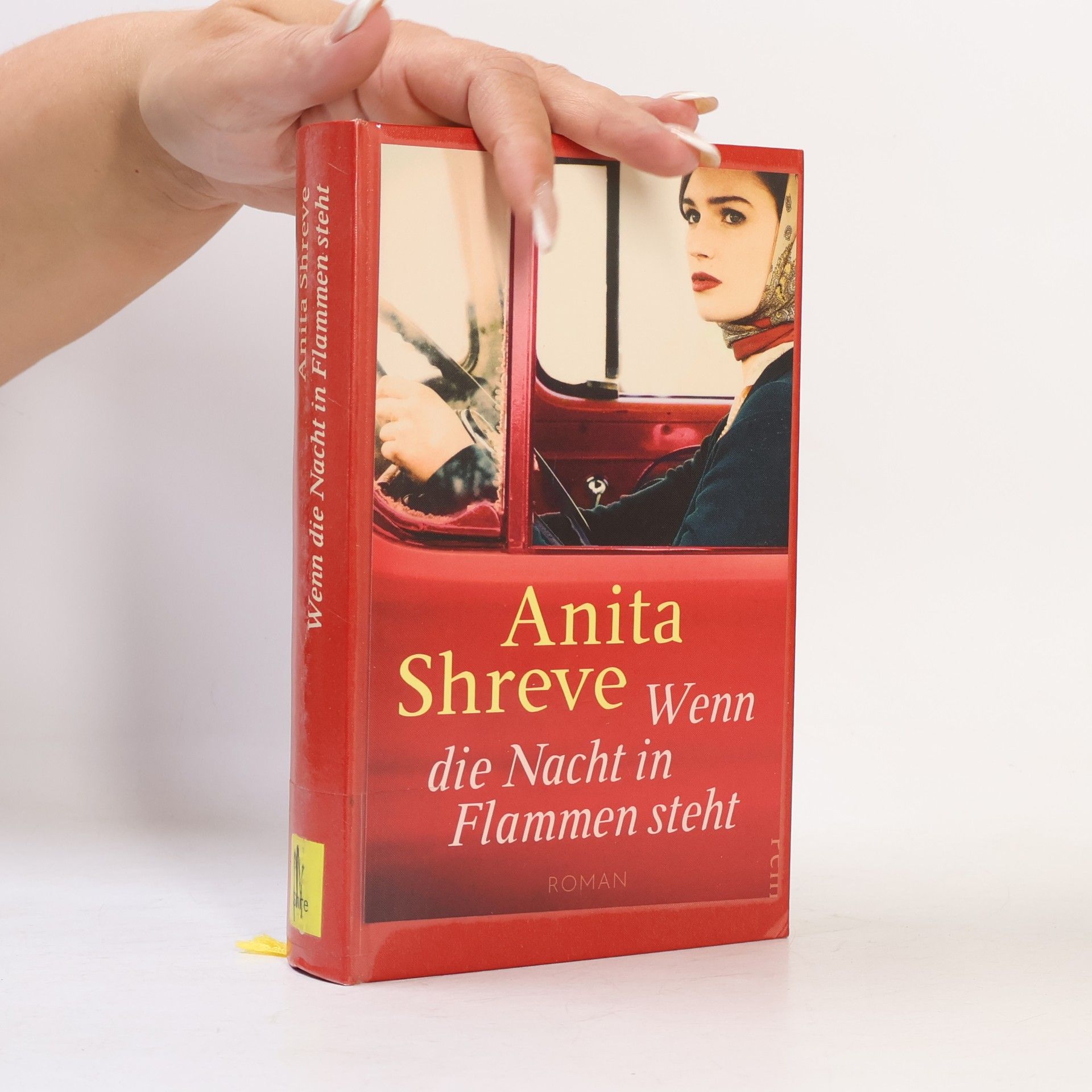 Anita Shreve Wenn die Nacht in Flammen steht
