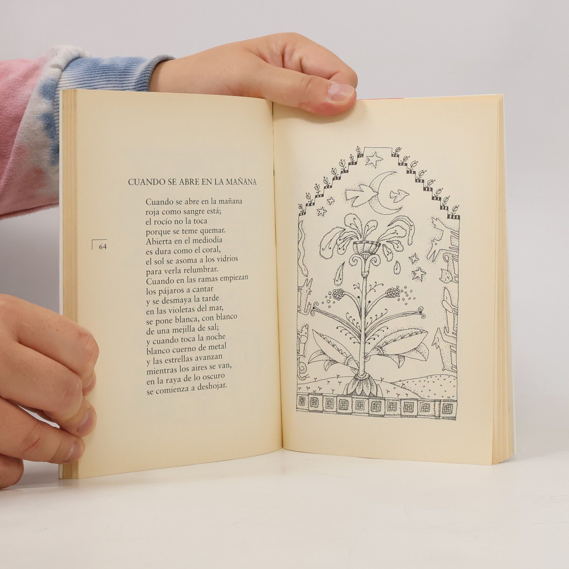 Juan Ramón Jiménez Mi primer libro de poemas