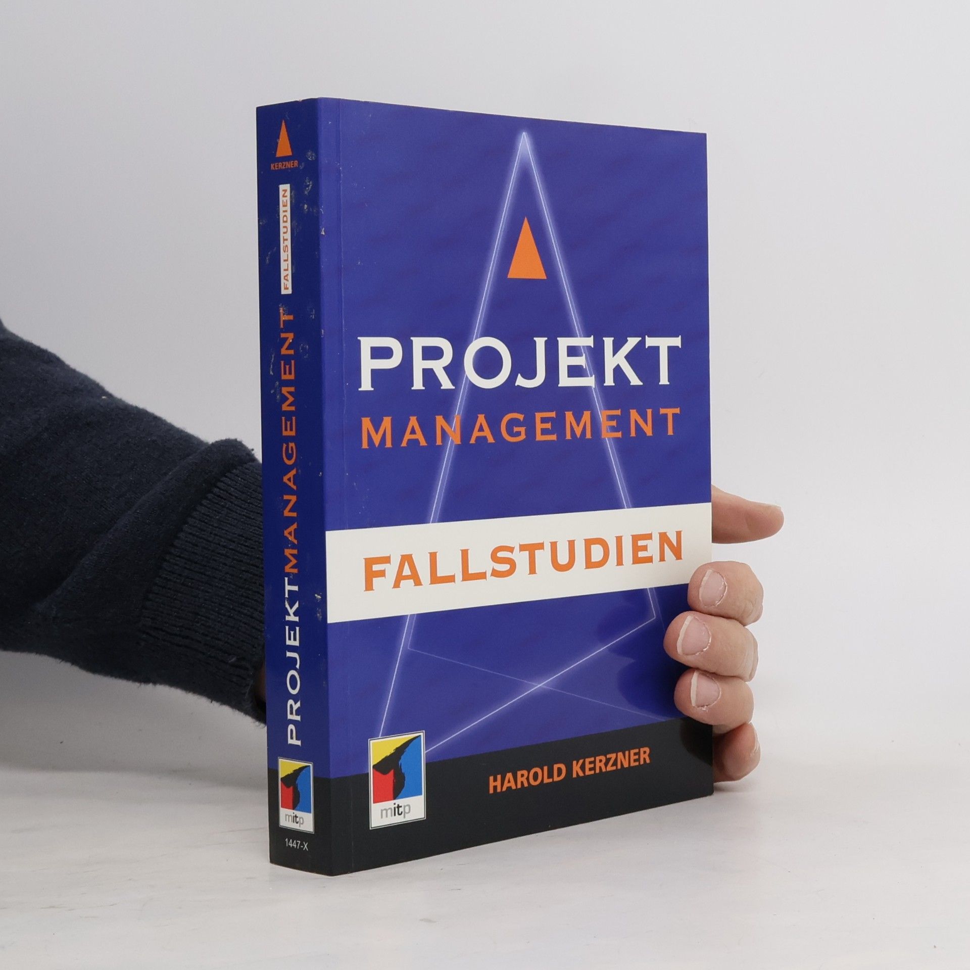 Projektmanagement. Fallstudien.