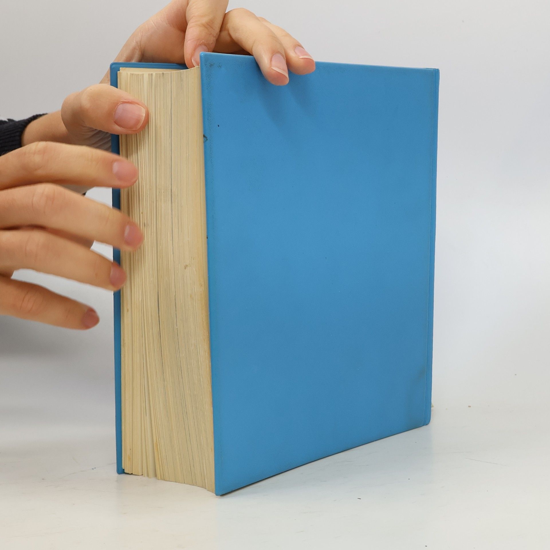 Else Richter Das moderne Kochbuch