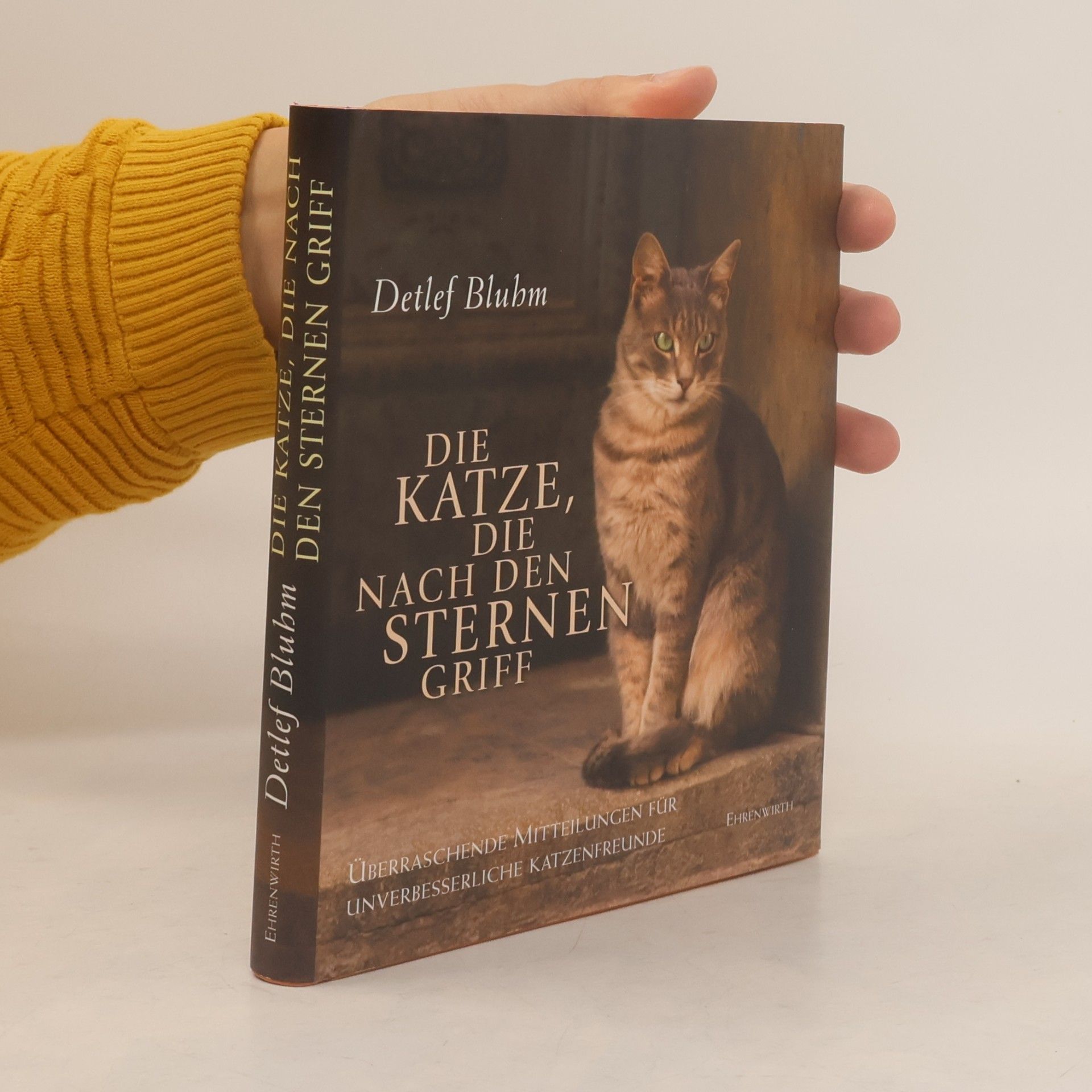Detlef Bluhm Die Katze, die nach den Sternen griff