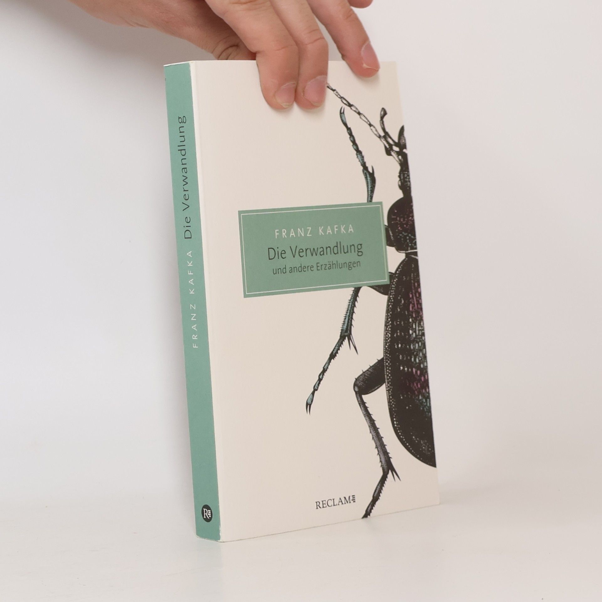 Franz Kafka Die Verwandlung und andere Erzählungen