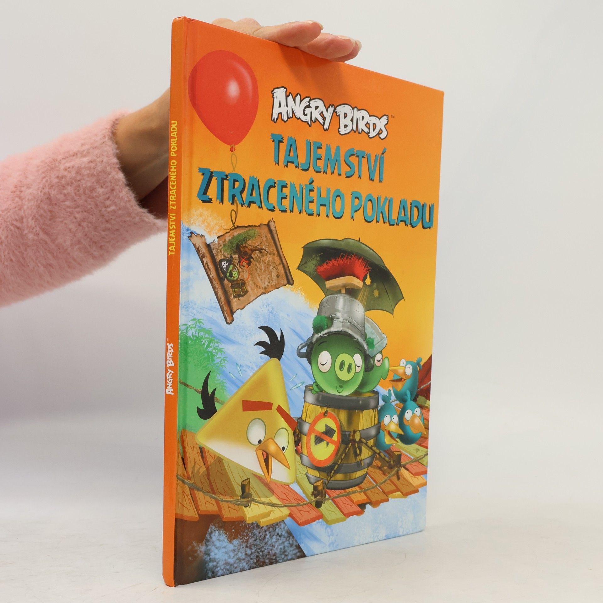 Jari Rasi Angry Birds. Tajemství ztraceného pokladu