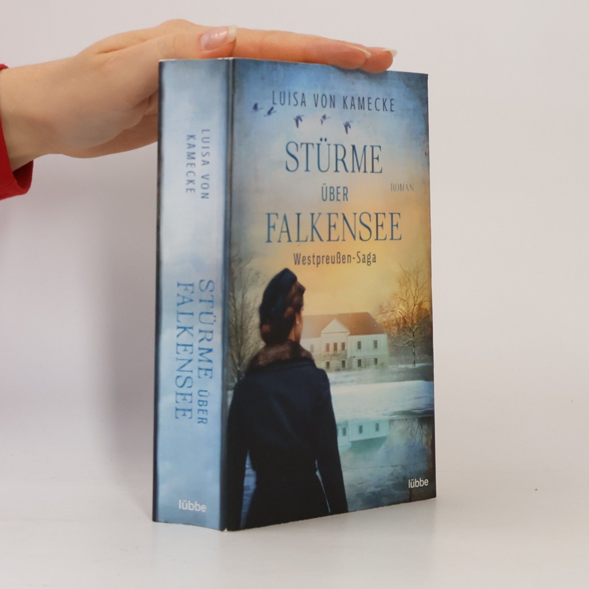 Luisa von Kamecke Stürme über Falkensee