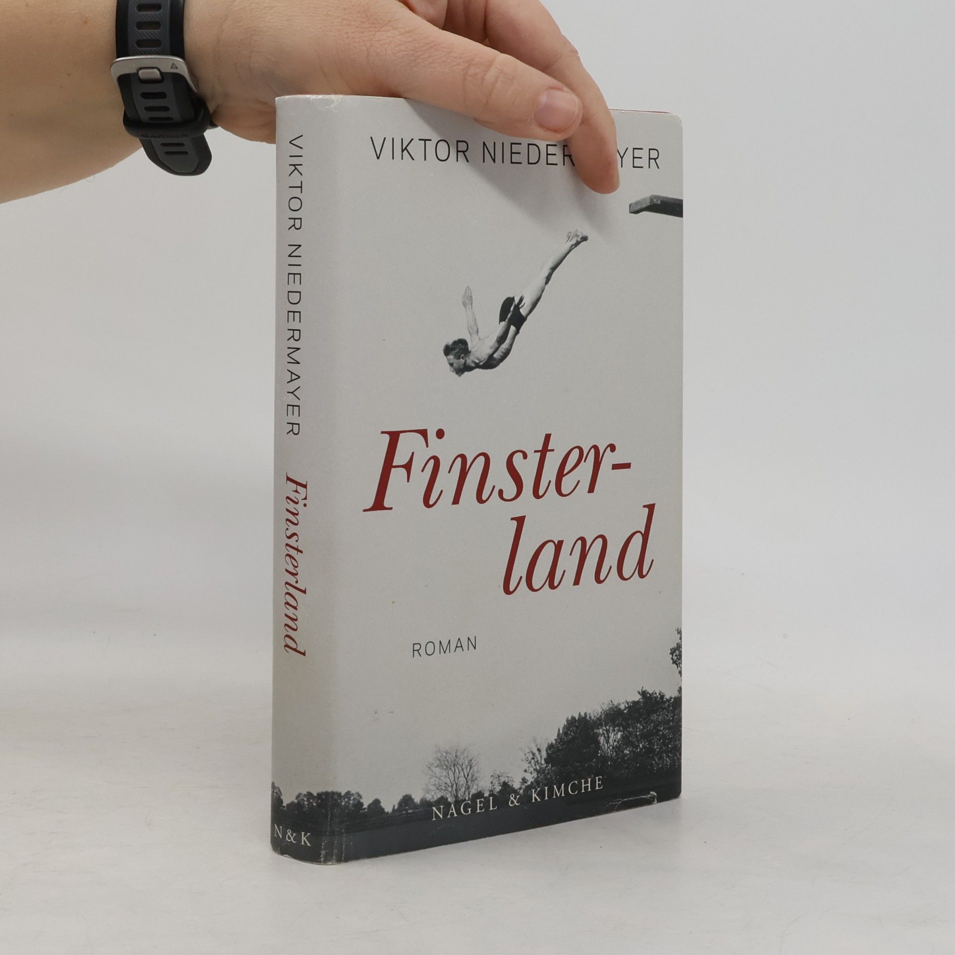 Viktor Niedermayer Finsterland