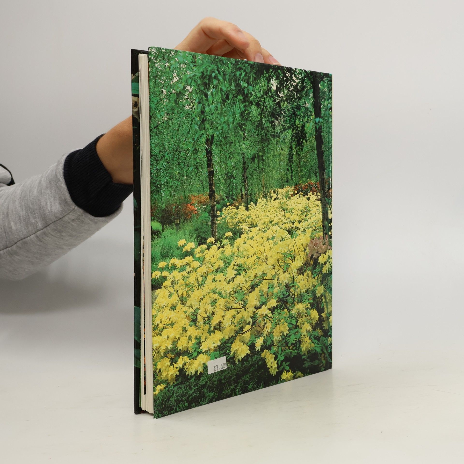Christopher Fairweather Rhododendrons and Azaleas for Your Garden