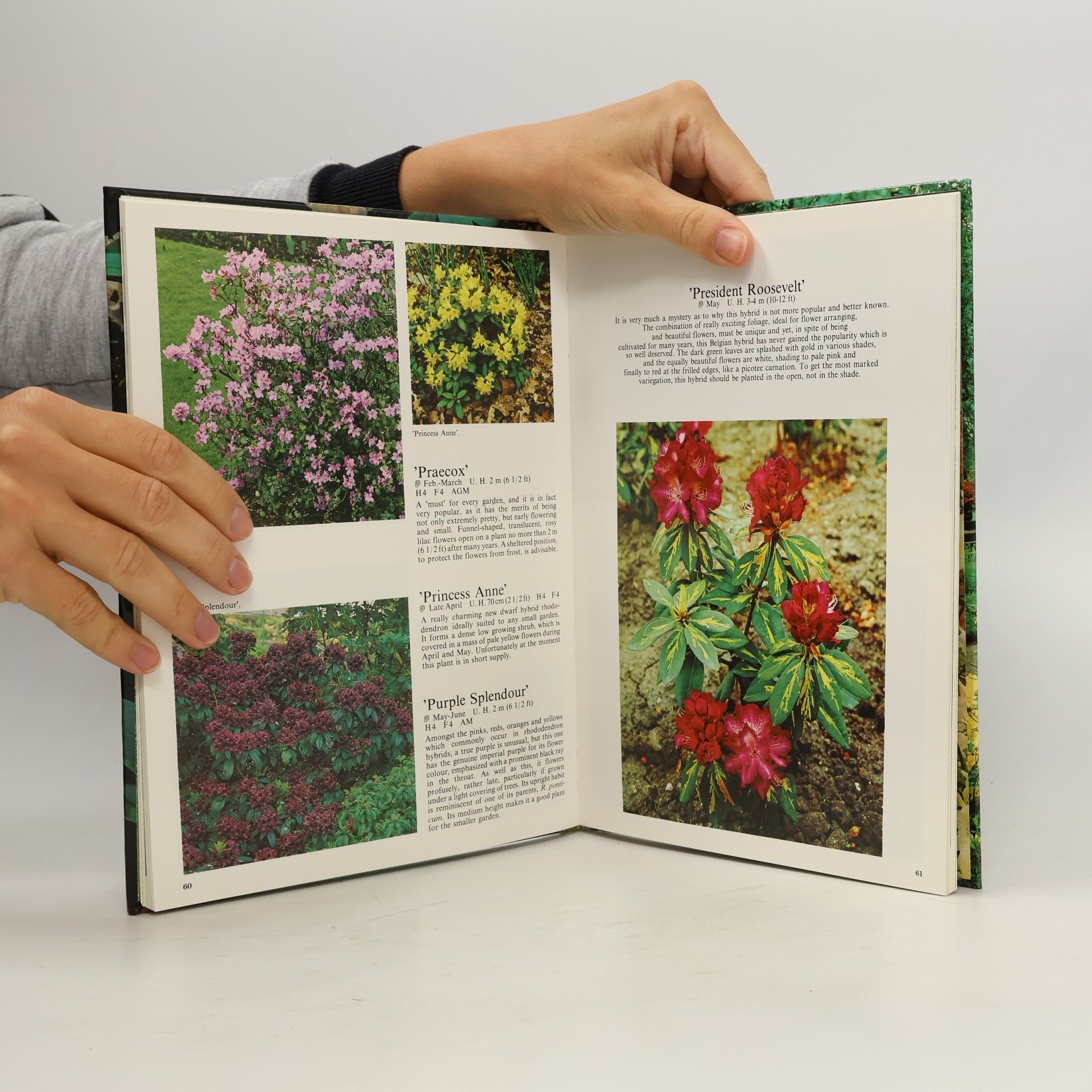 Christopher Fairweather Rhododendrons and Azaleas for Your Garden
