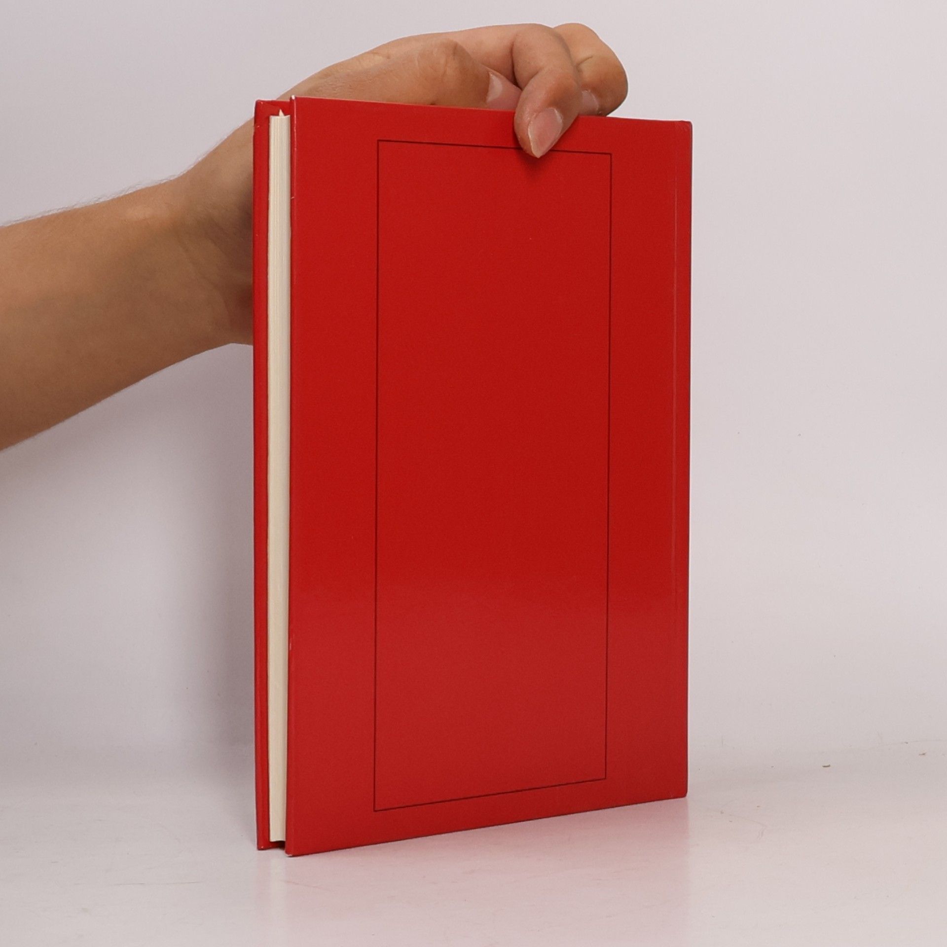Biggi Pepe Biggi's Koch Buch