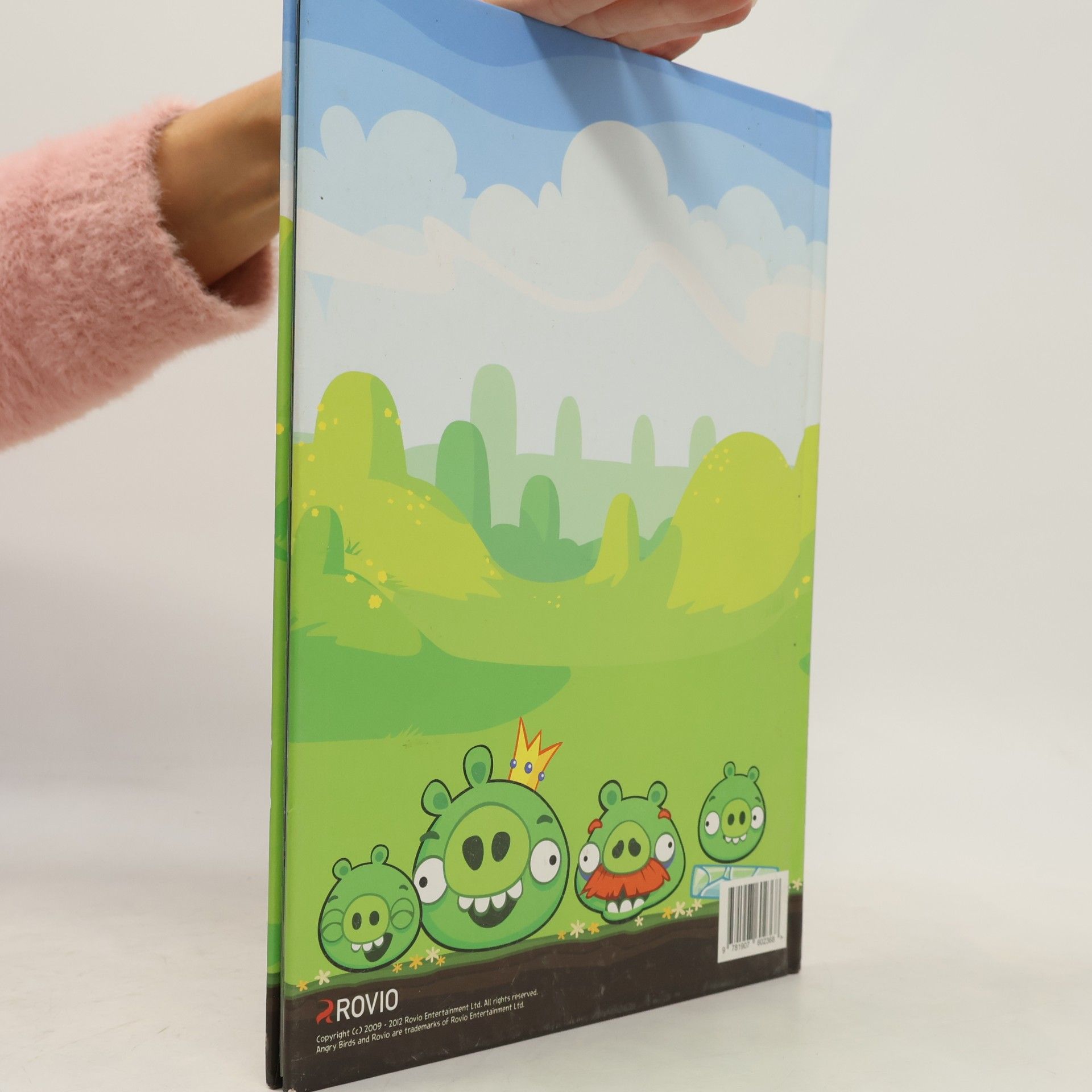 Autorenkollektiv Angry Birds Annual 2013