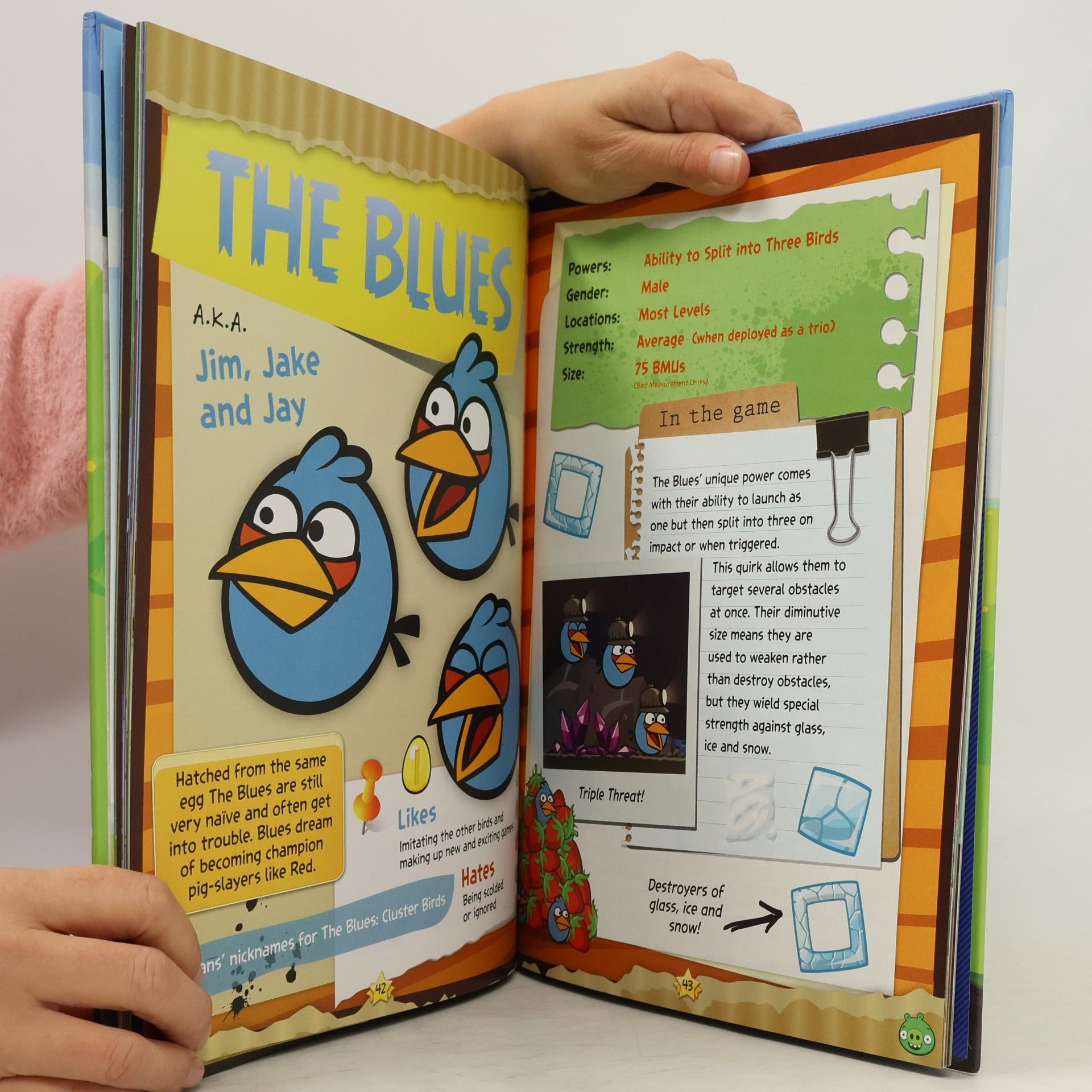 Autorenkollektiv Angry Birds Annual 2013