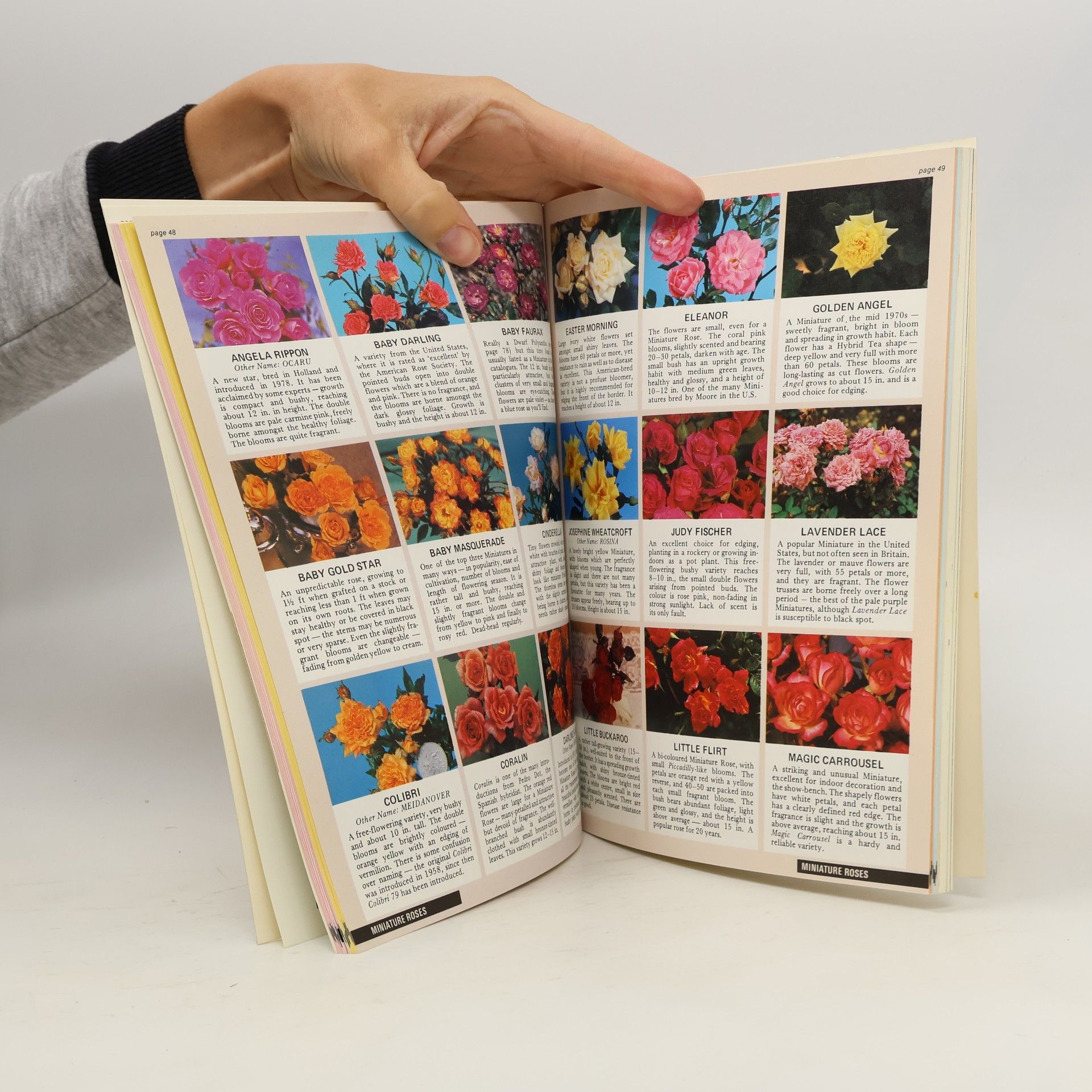 Dr. D. G. Hessayon The Rose Expert