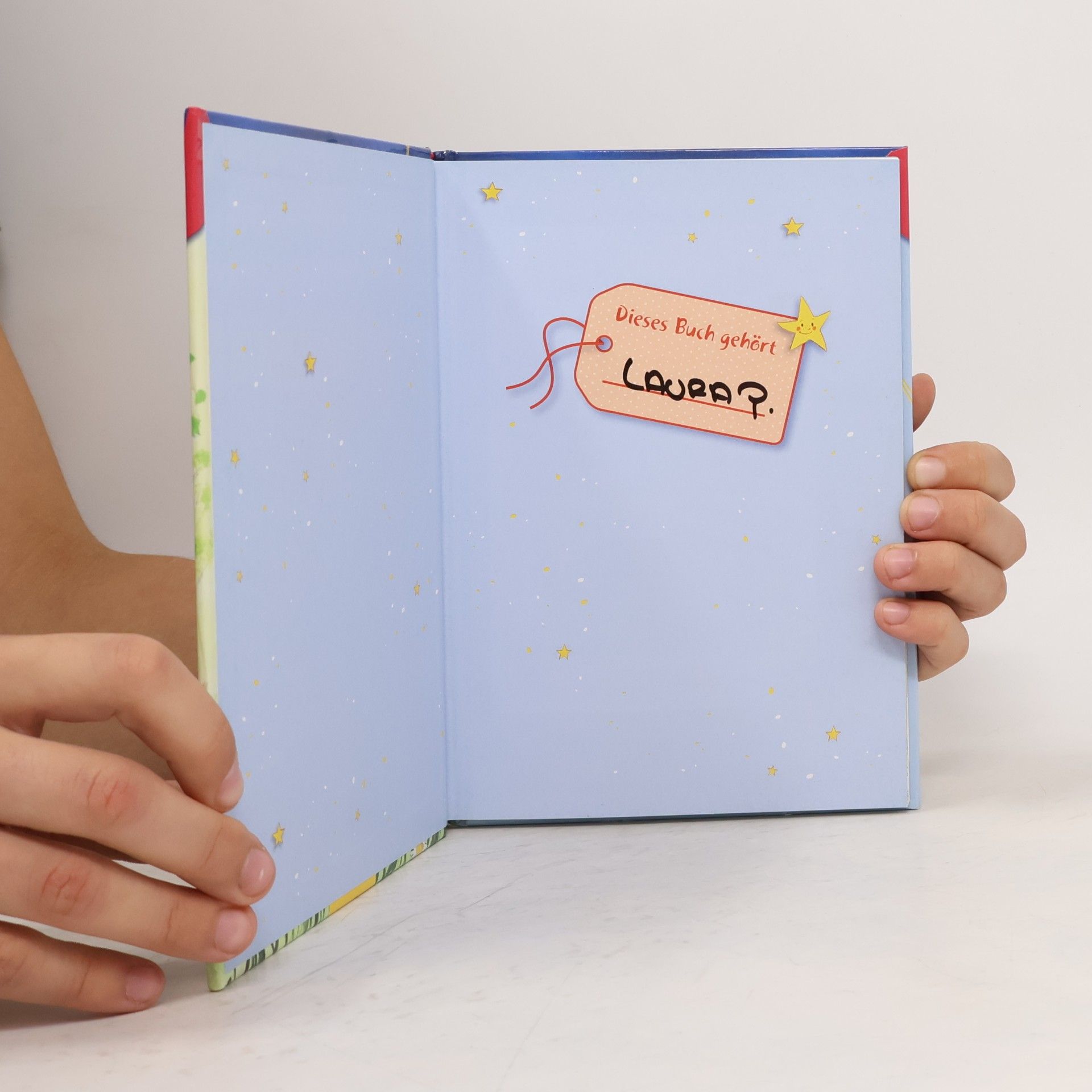 Marliese Arold Die Pony-Schule - ein Fohlen für Lotte