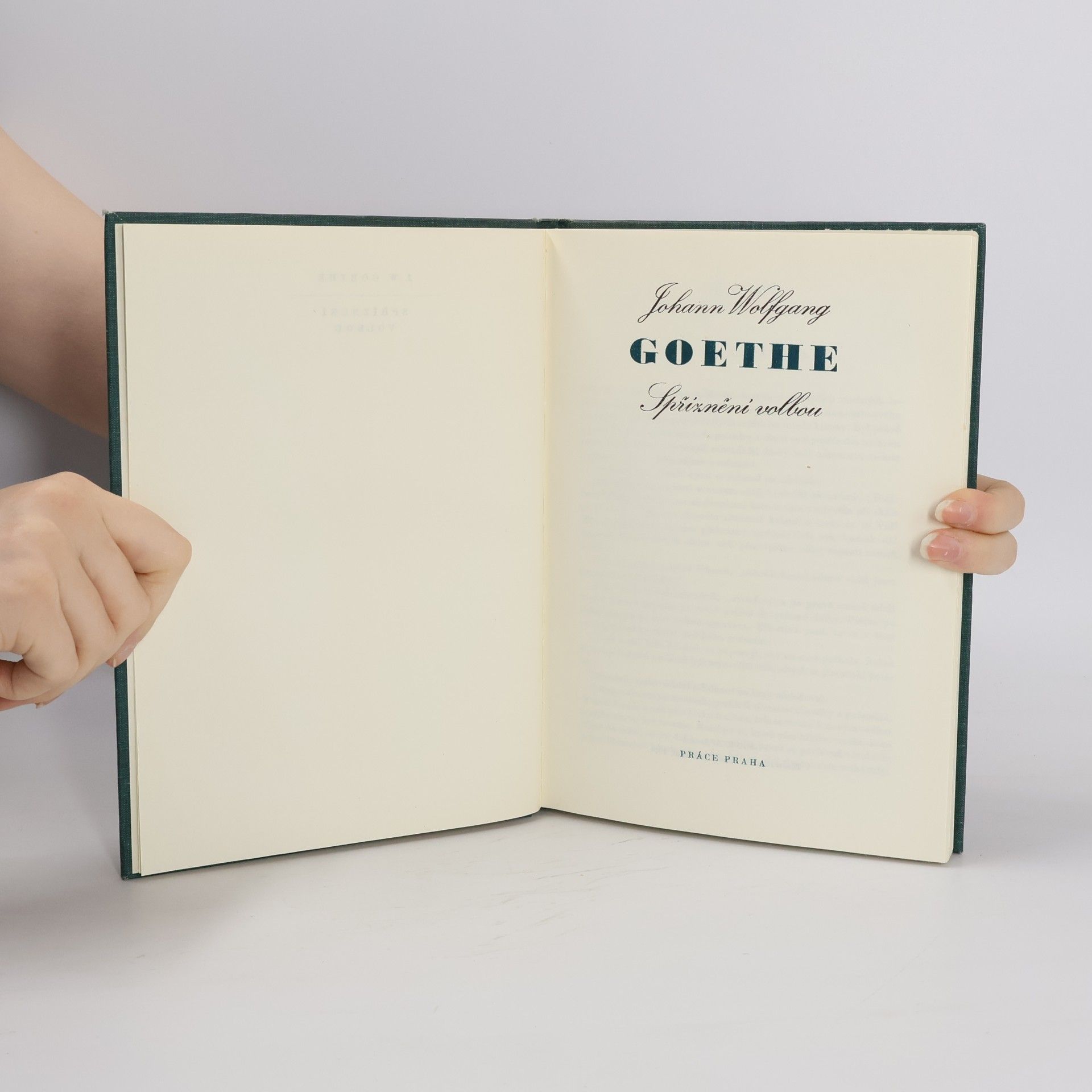 Johann Wolfgang Goethe Goethe