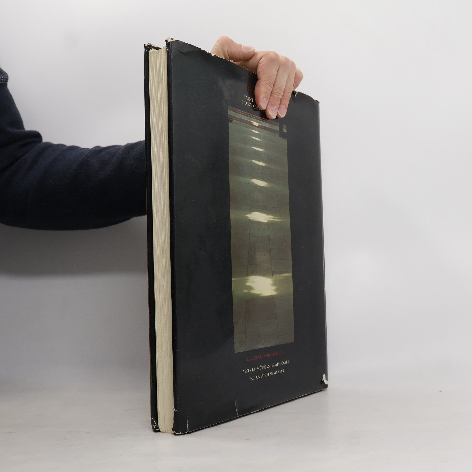 Georges Duby Sankt Bernhard, die Kunst der Zisterzienser