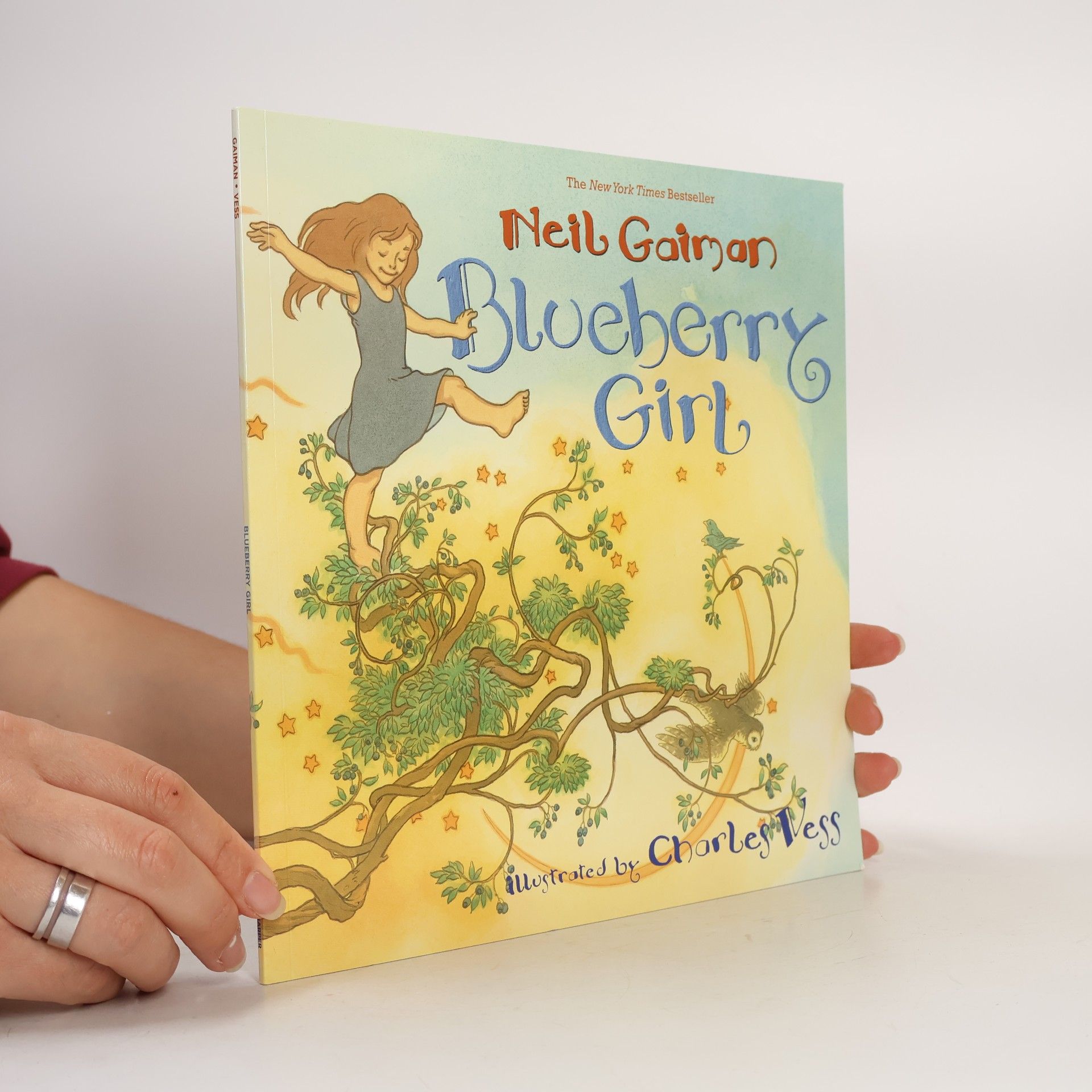 Neil Gaiman Blueberry Girl
