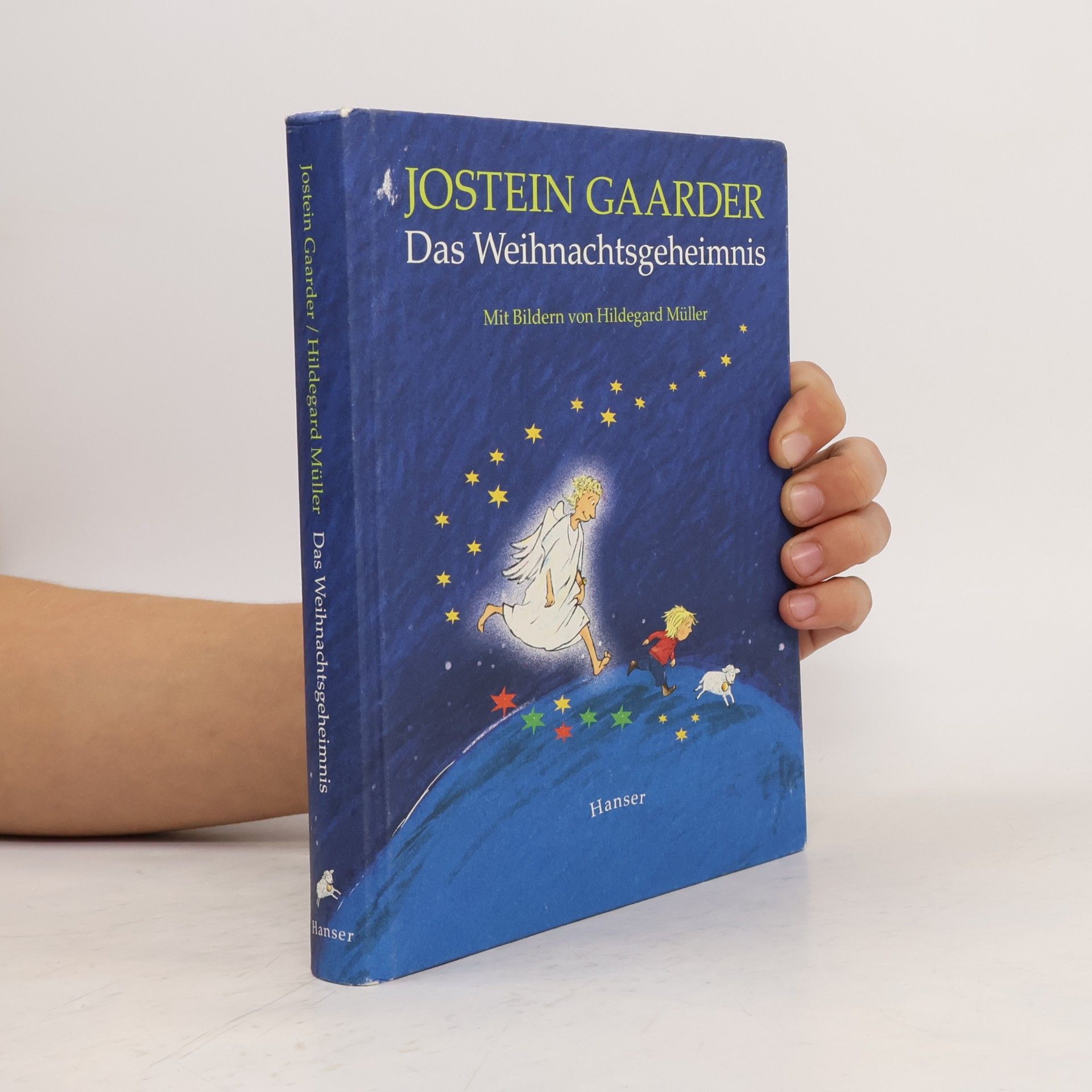 Jostein Gaarder Das Weihnachtsgeheimnis