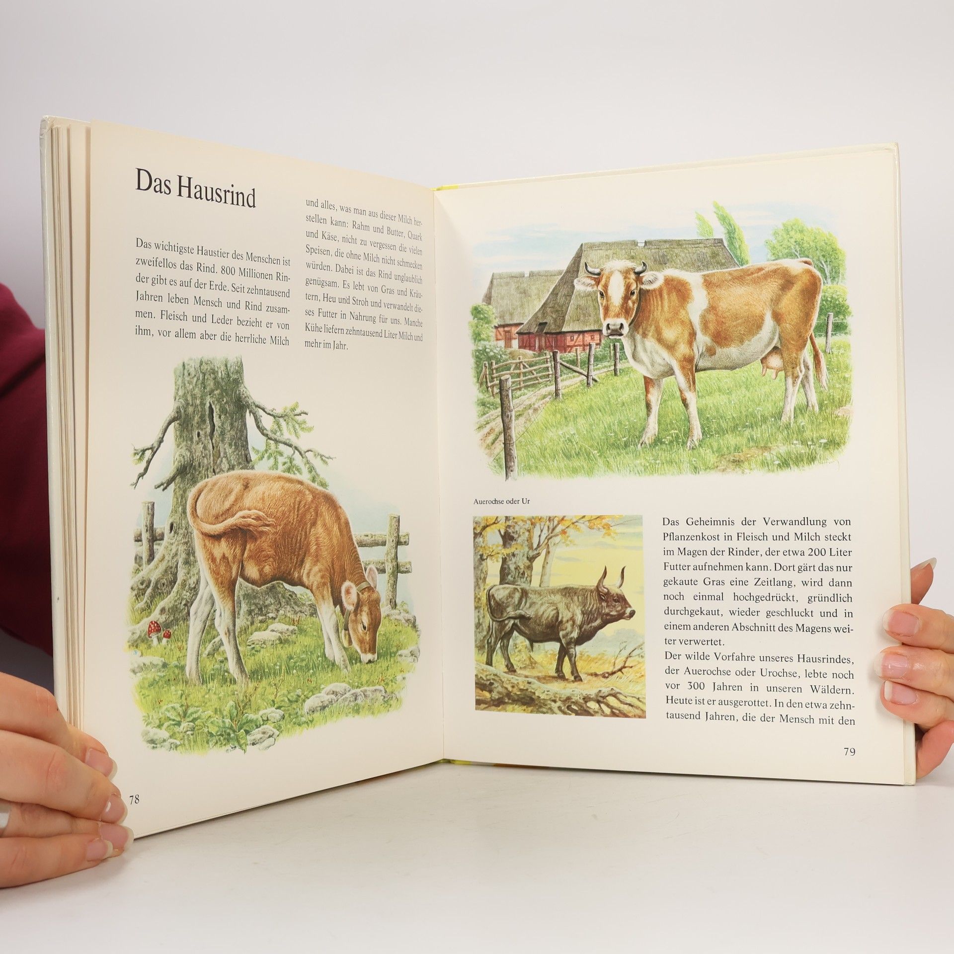 Erns W. Bauer Bunter Tieratlas