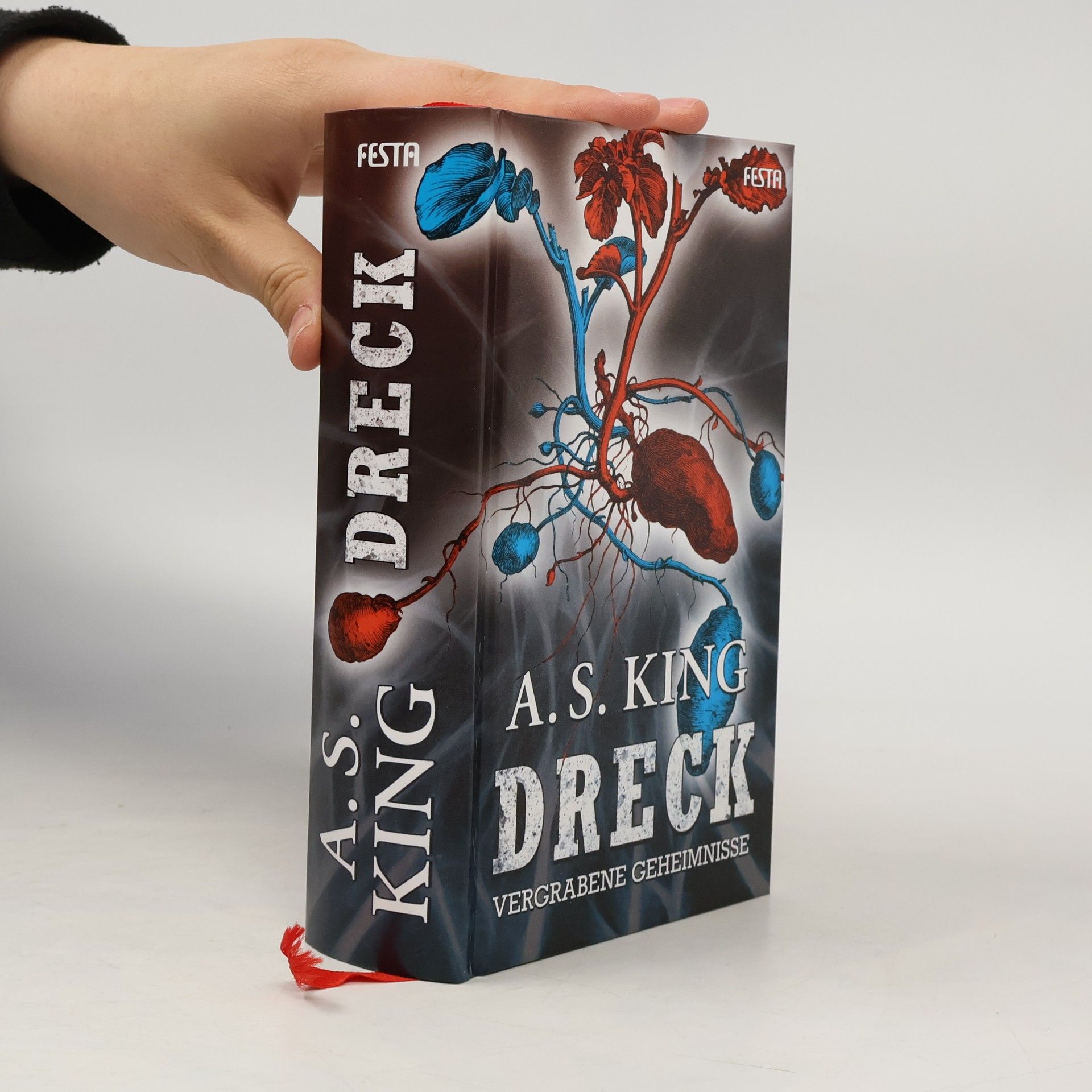 A. S. King DRECK - Vergrabene Geheimnisse