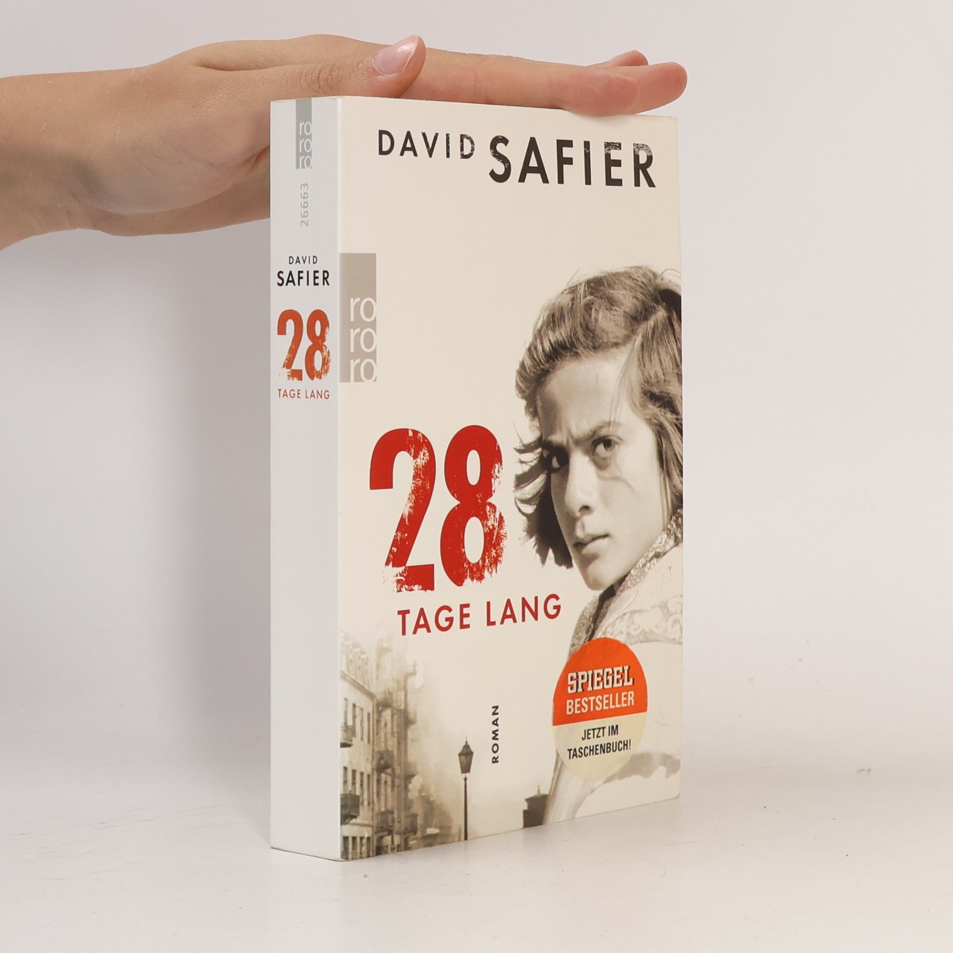 David Safier 28 Tage lang