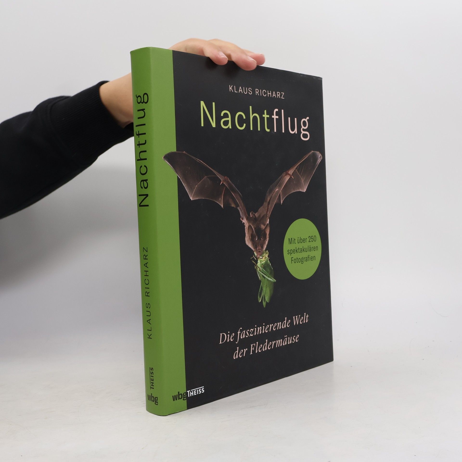 Nachtflug