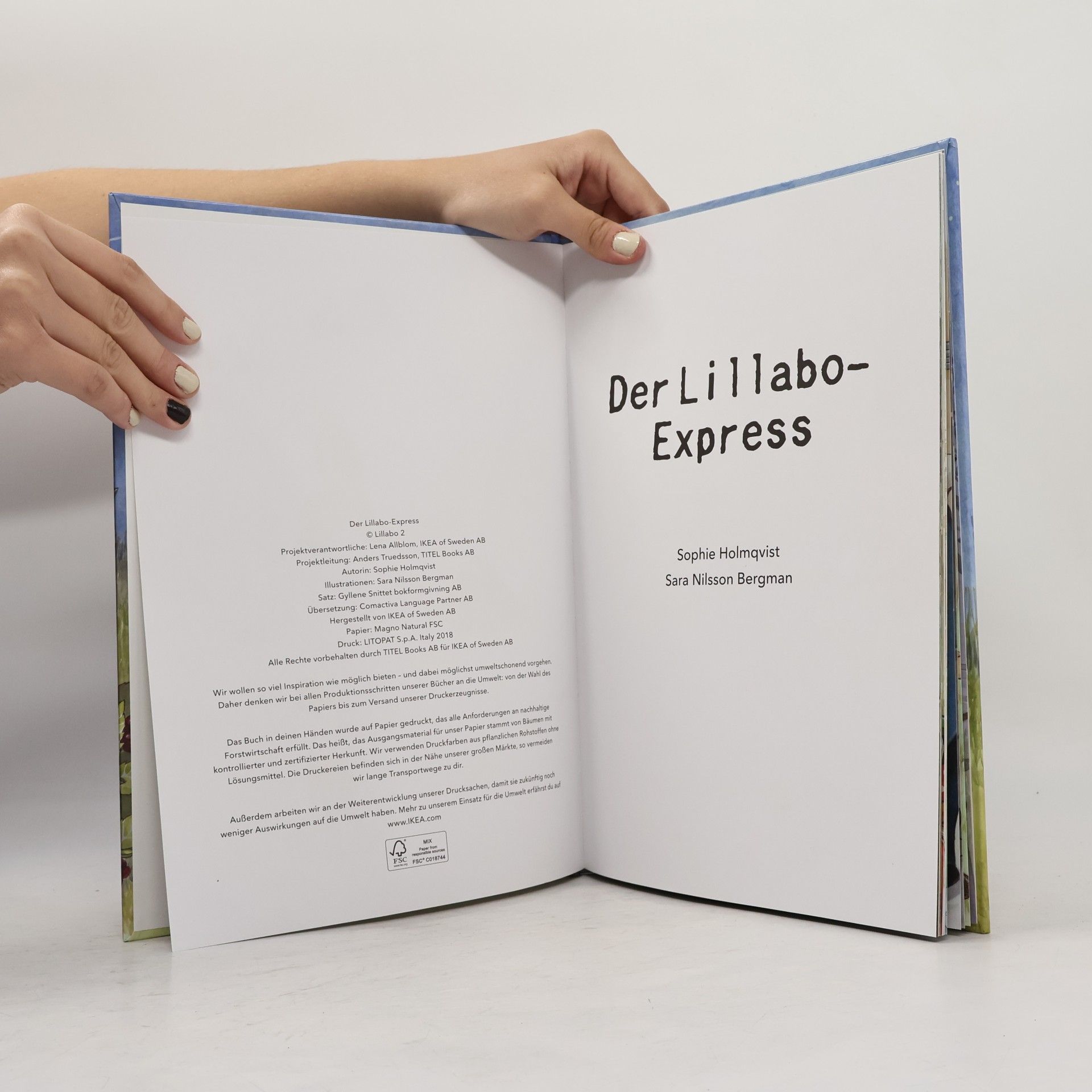 Sara Nilsson Bergman Der Lillabo-Express