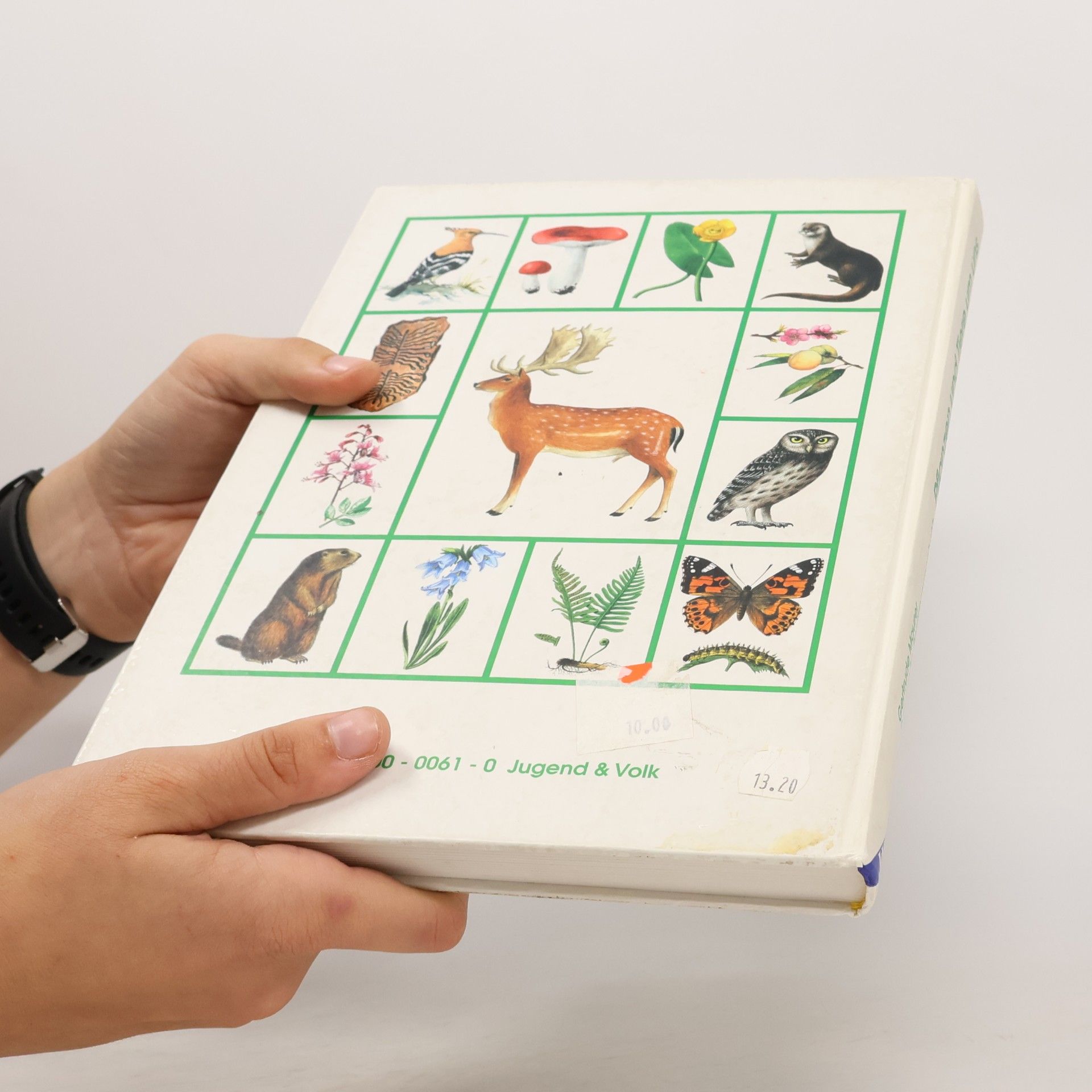 Gertrude Maurer Pflanzen und Tiere um uns