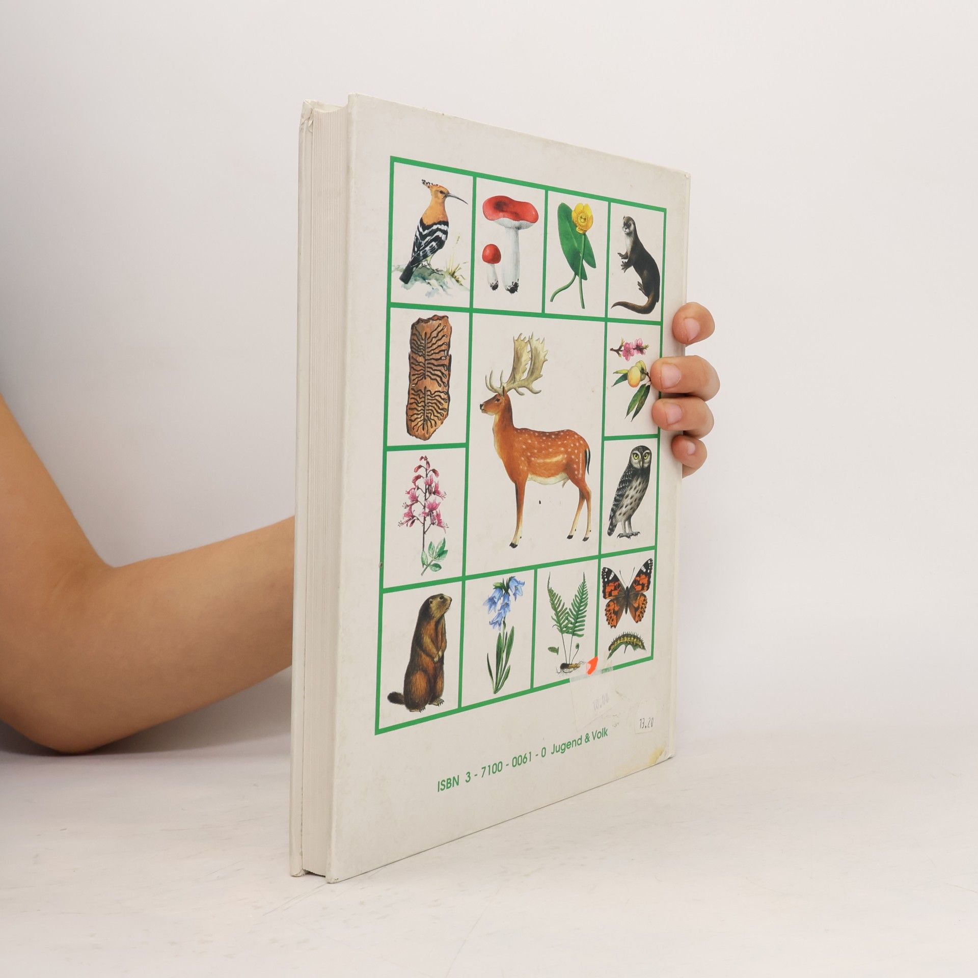 Gertrude Maurer Pflanzen und Tiere um uns