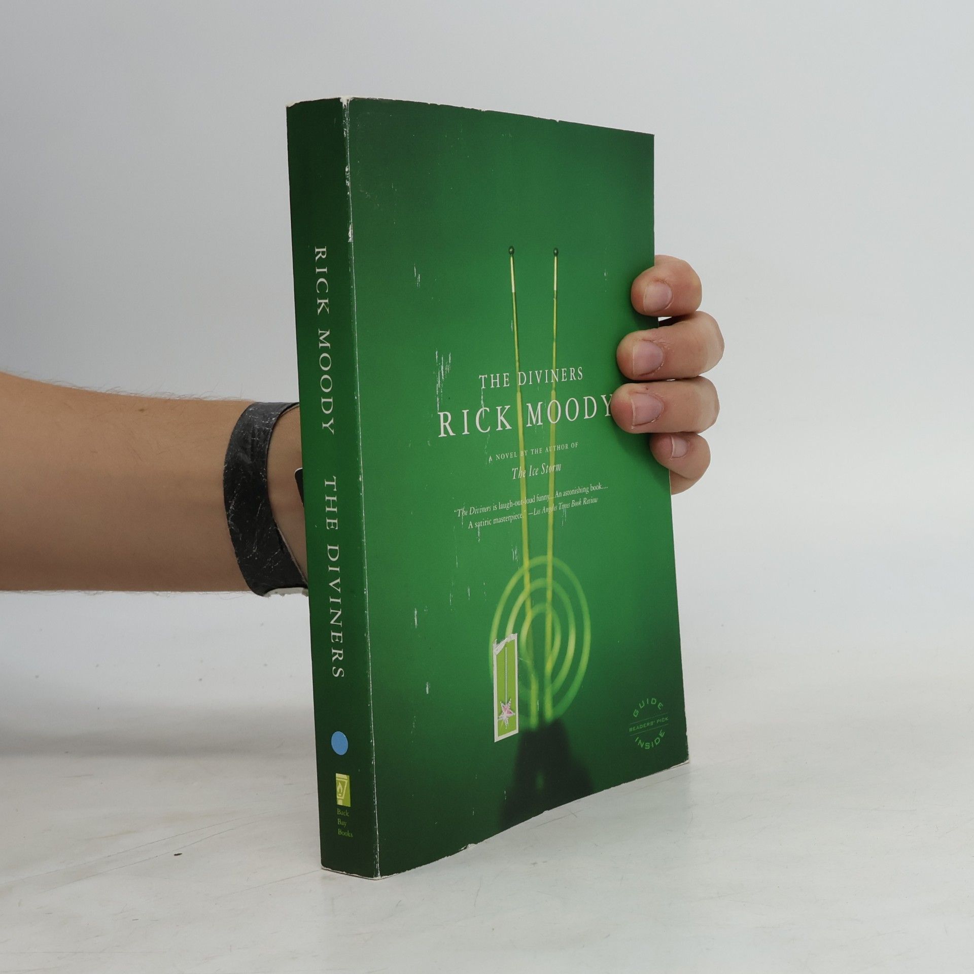 Rick Moody The Diviners