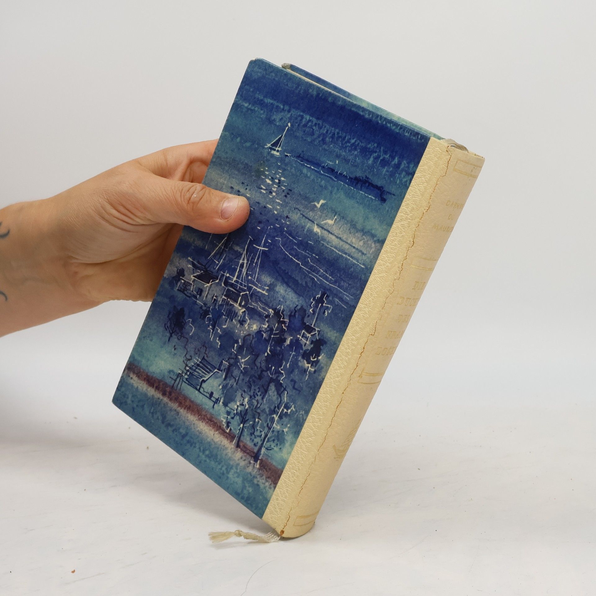 Daphne du Maurier Die Bucht des Franzosen