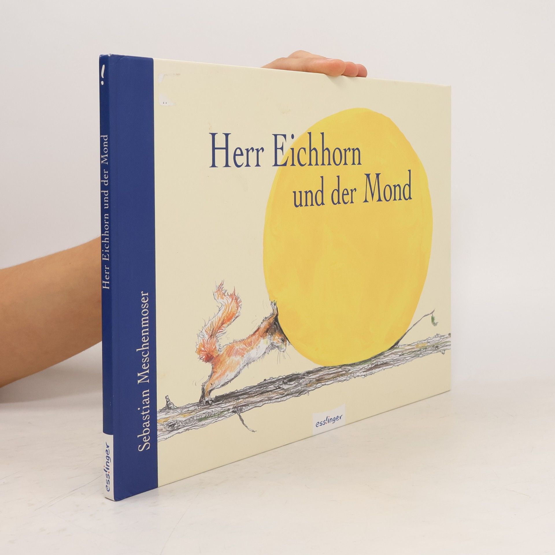 Sebastian Meschenmoser Herr Eichhorn und der Mond