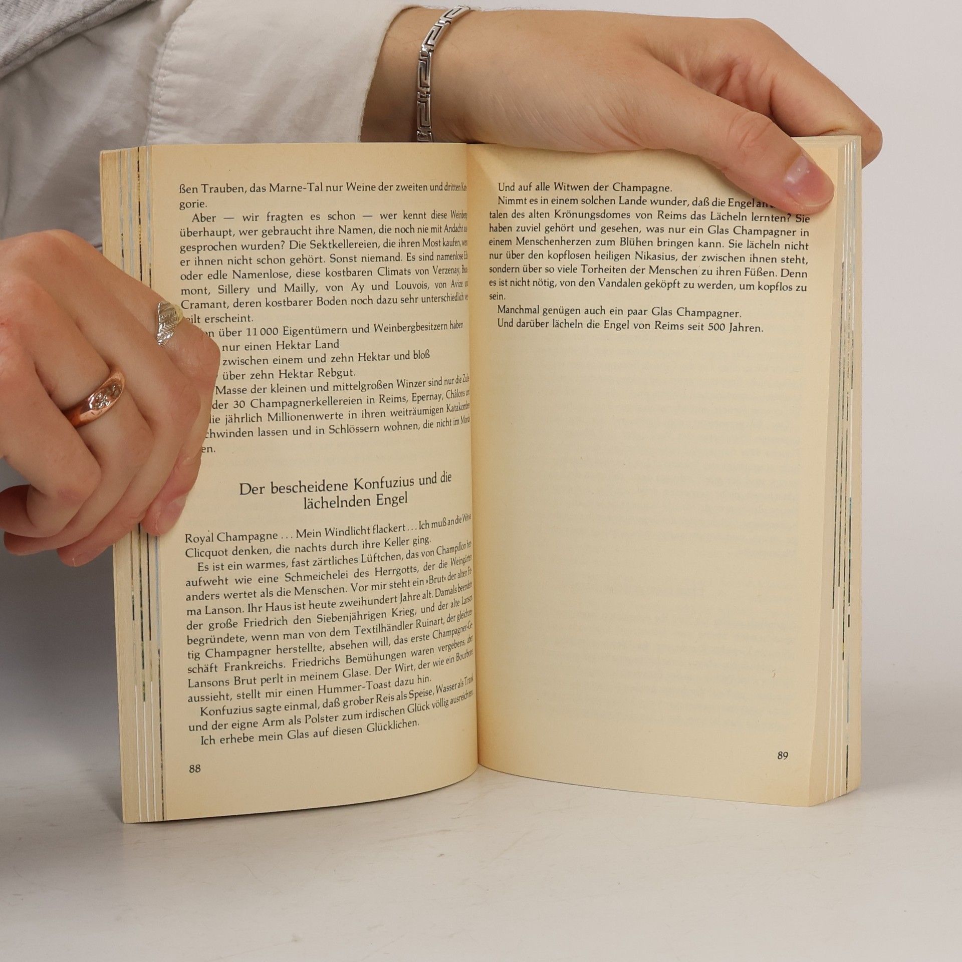 Ernst Hornickel Weinbibliothek: Die Reisen