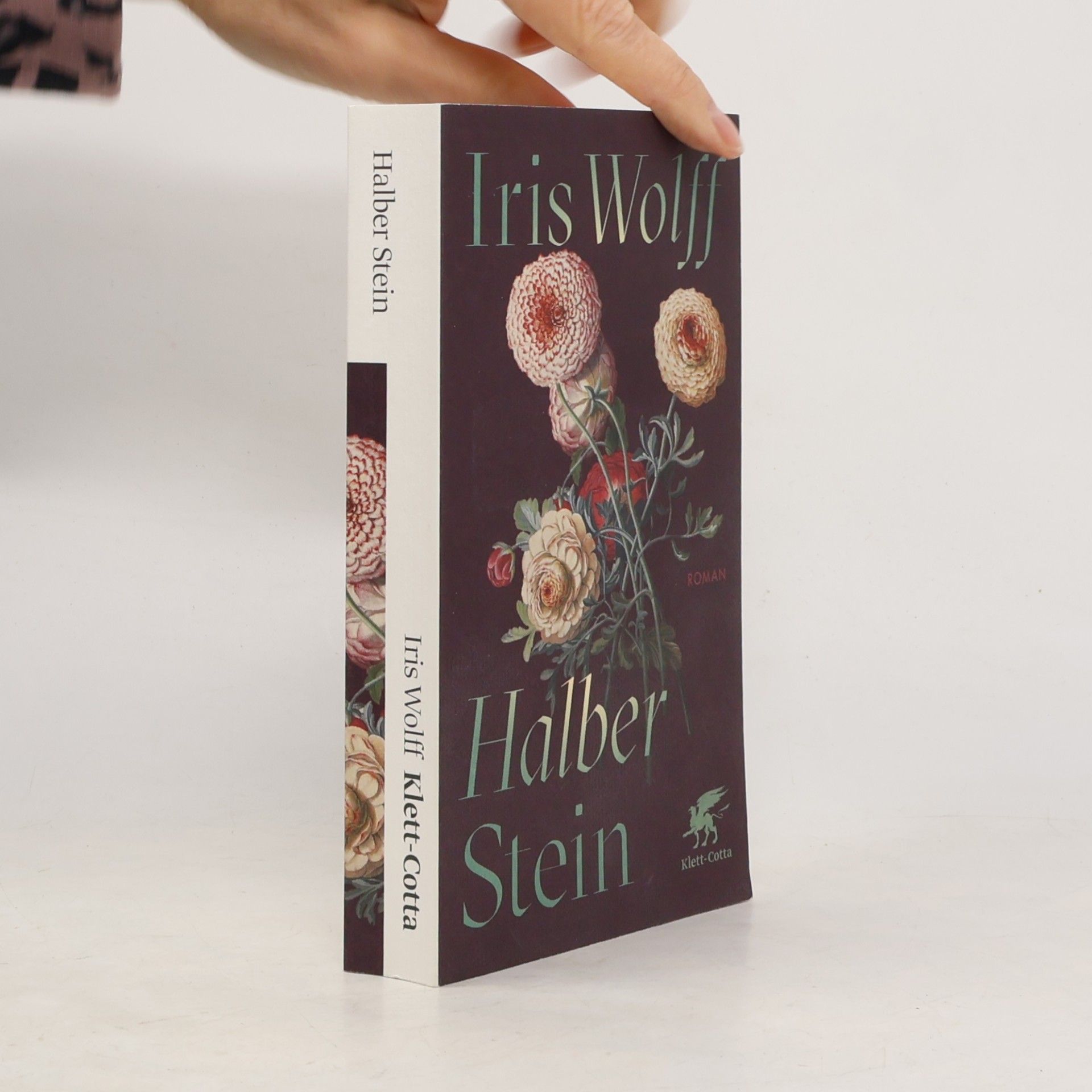 Iris Wolff Halber Stein: Roman