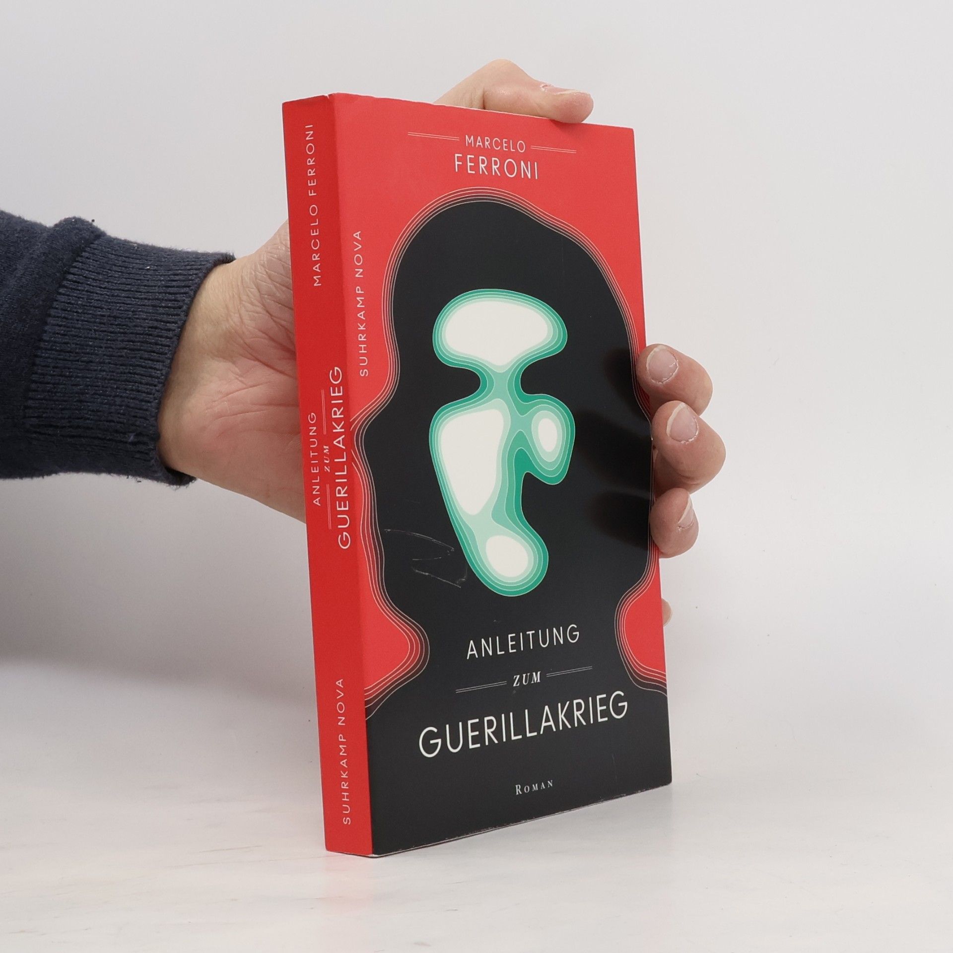 Marcelo Ferroni Anleitung zum Guerrillakrieg
