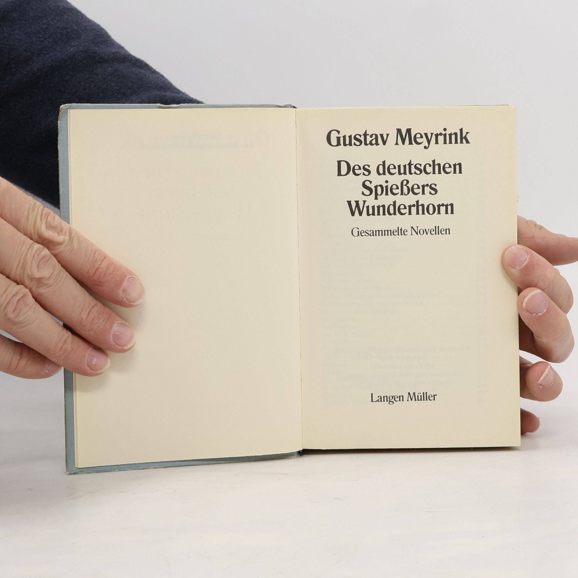 Gustav Meyrink Des deutschen Spießers Wunderhorn