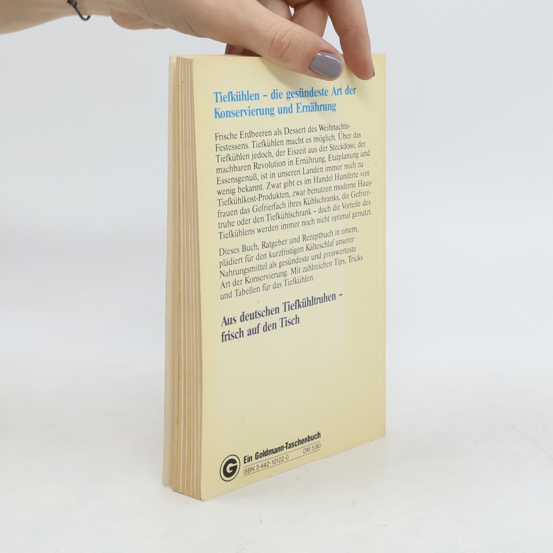 Martha Schmidt Eiszeit aus der Steckdose