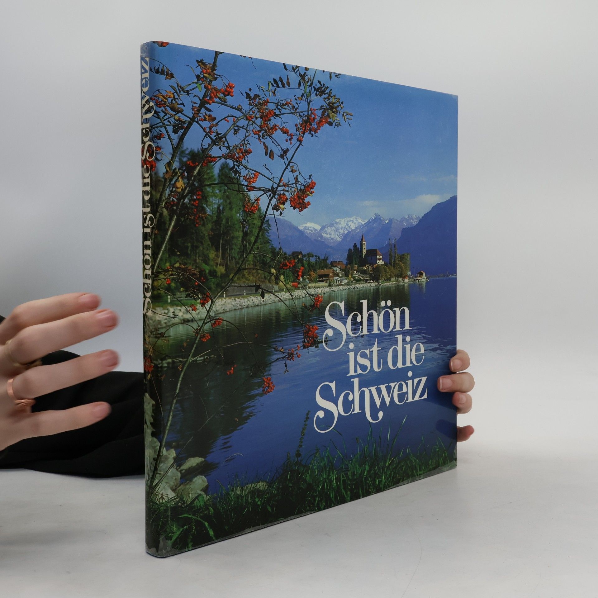 kolektiv Schön ist die Schweiz