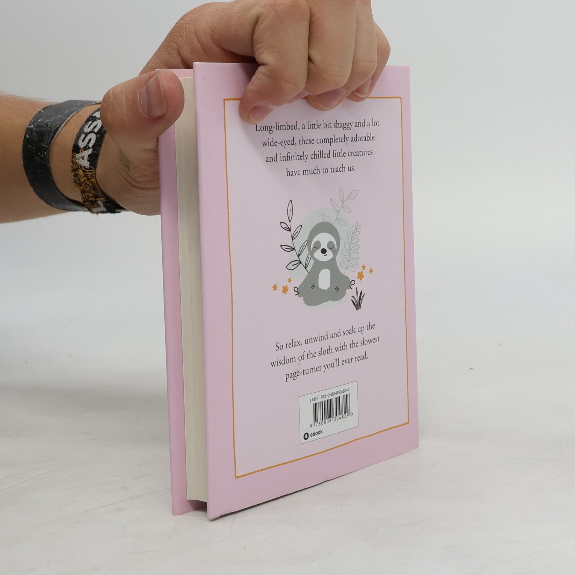 Jennifer McCartney The Little Book of Sloth Philosophy
